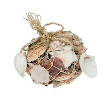 Shells.3.png