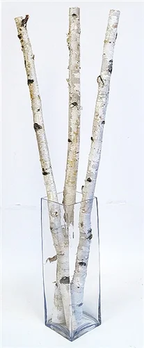 birch stick in vase.jpg