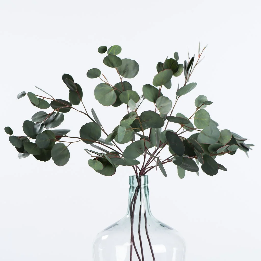 silver-dollar-eucalyptus-spray_1024x1024.jpg
