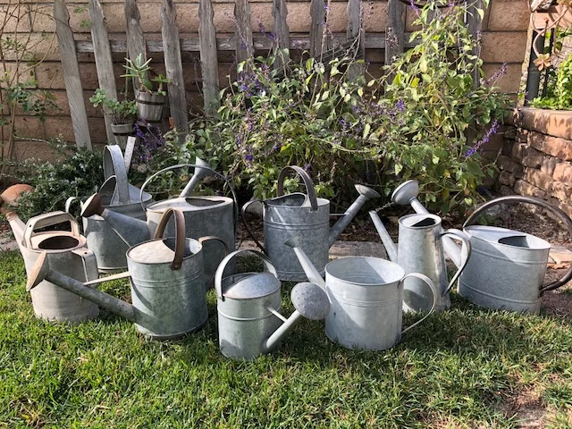 cans.1.jpg