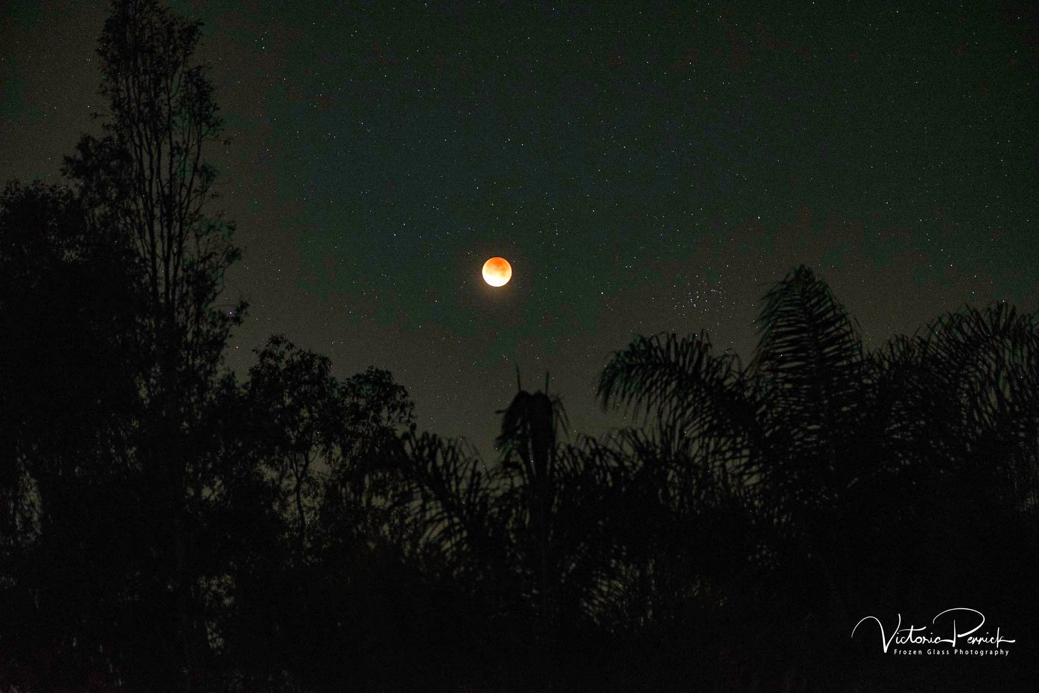 Blood Moon lighter.jpg