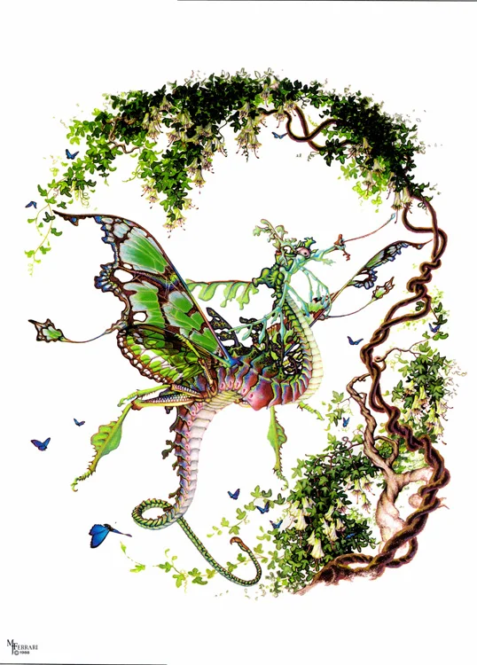 Butterfly-Dragon.jpg