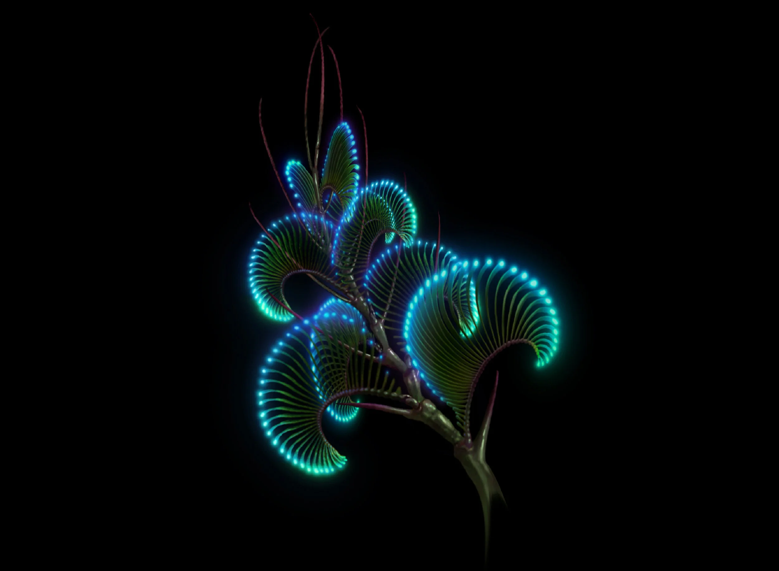 T-Botany B.jpg