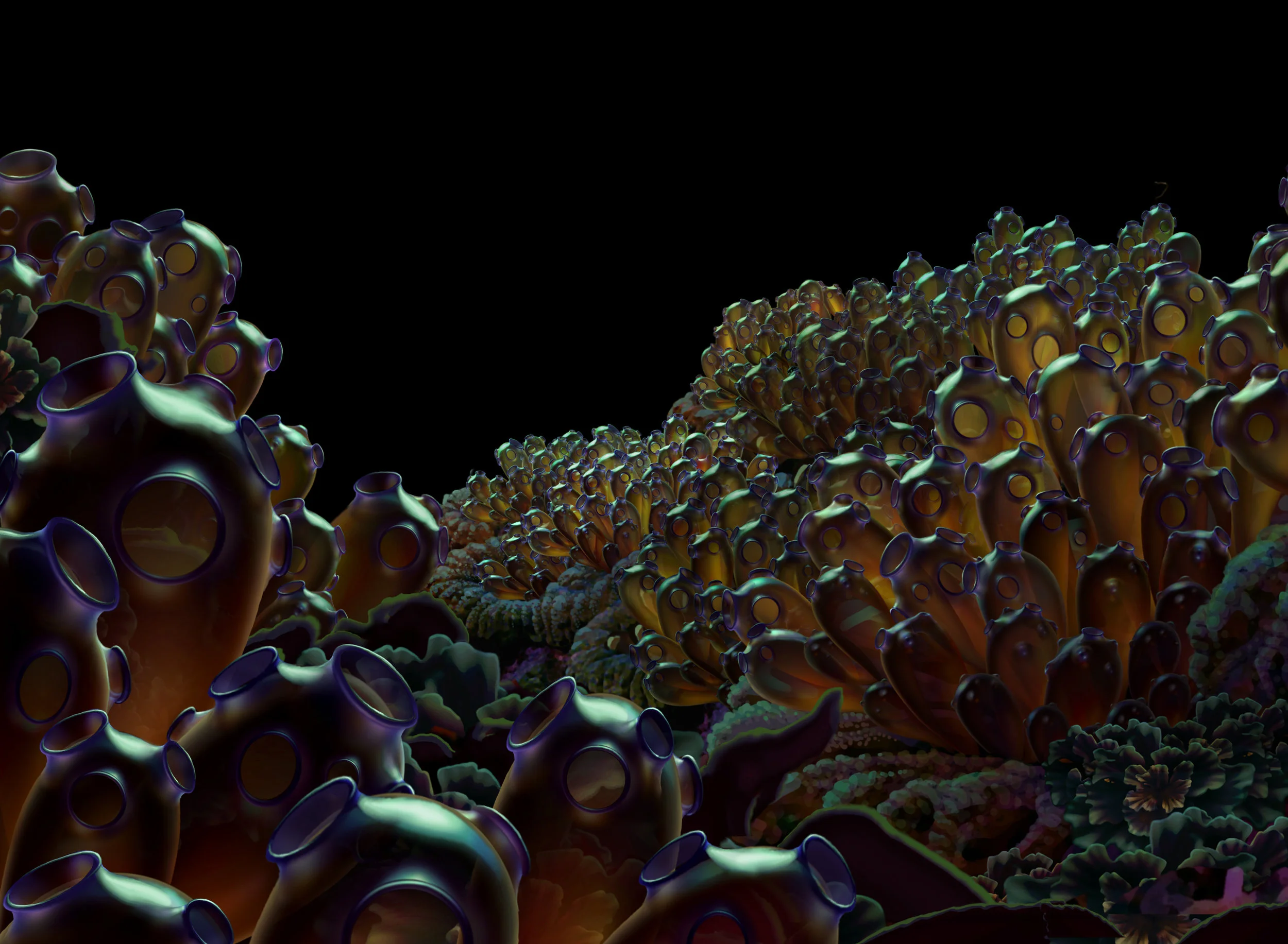 T-Botany C.jpg