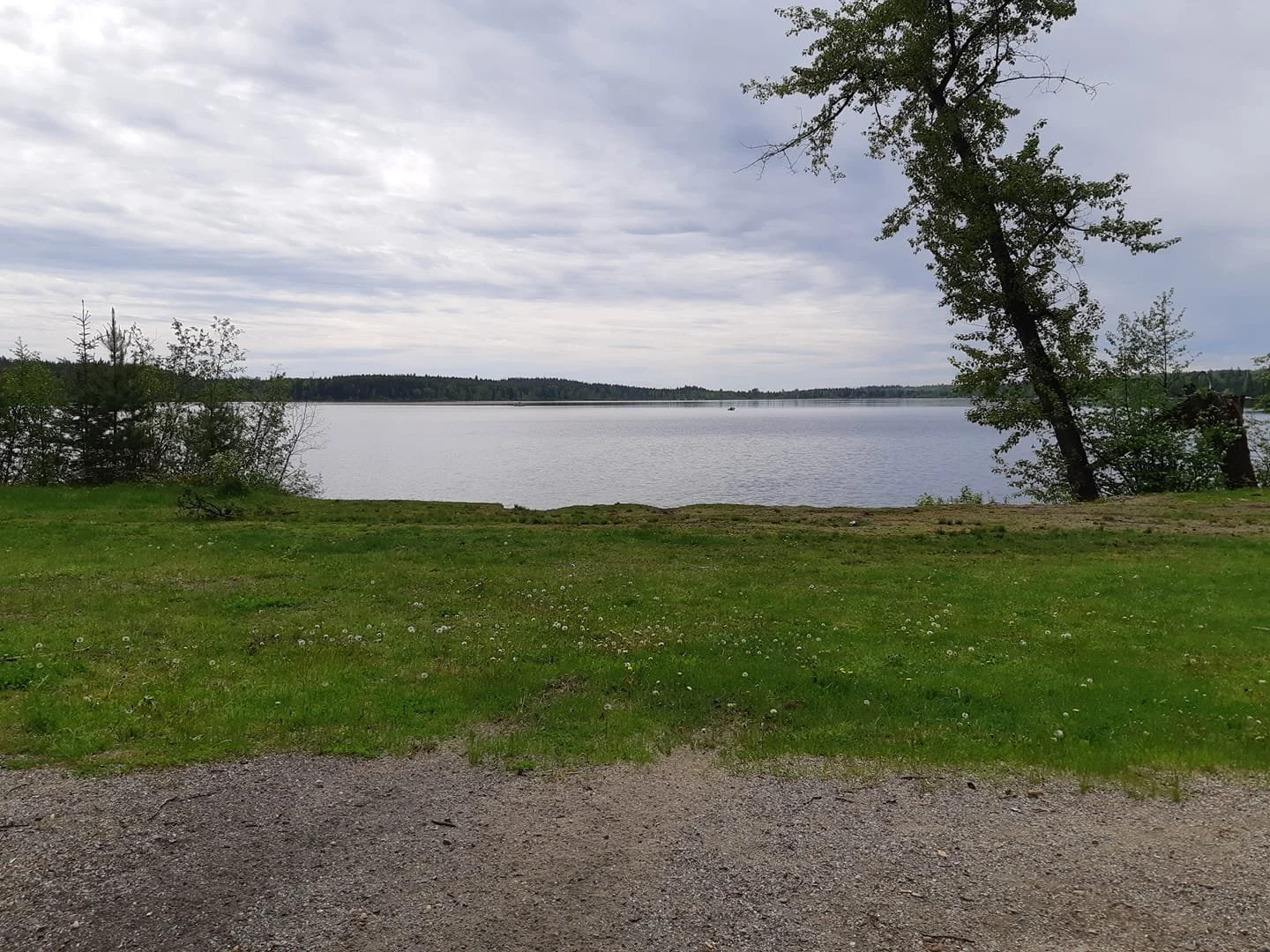 Kosta's Cove