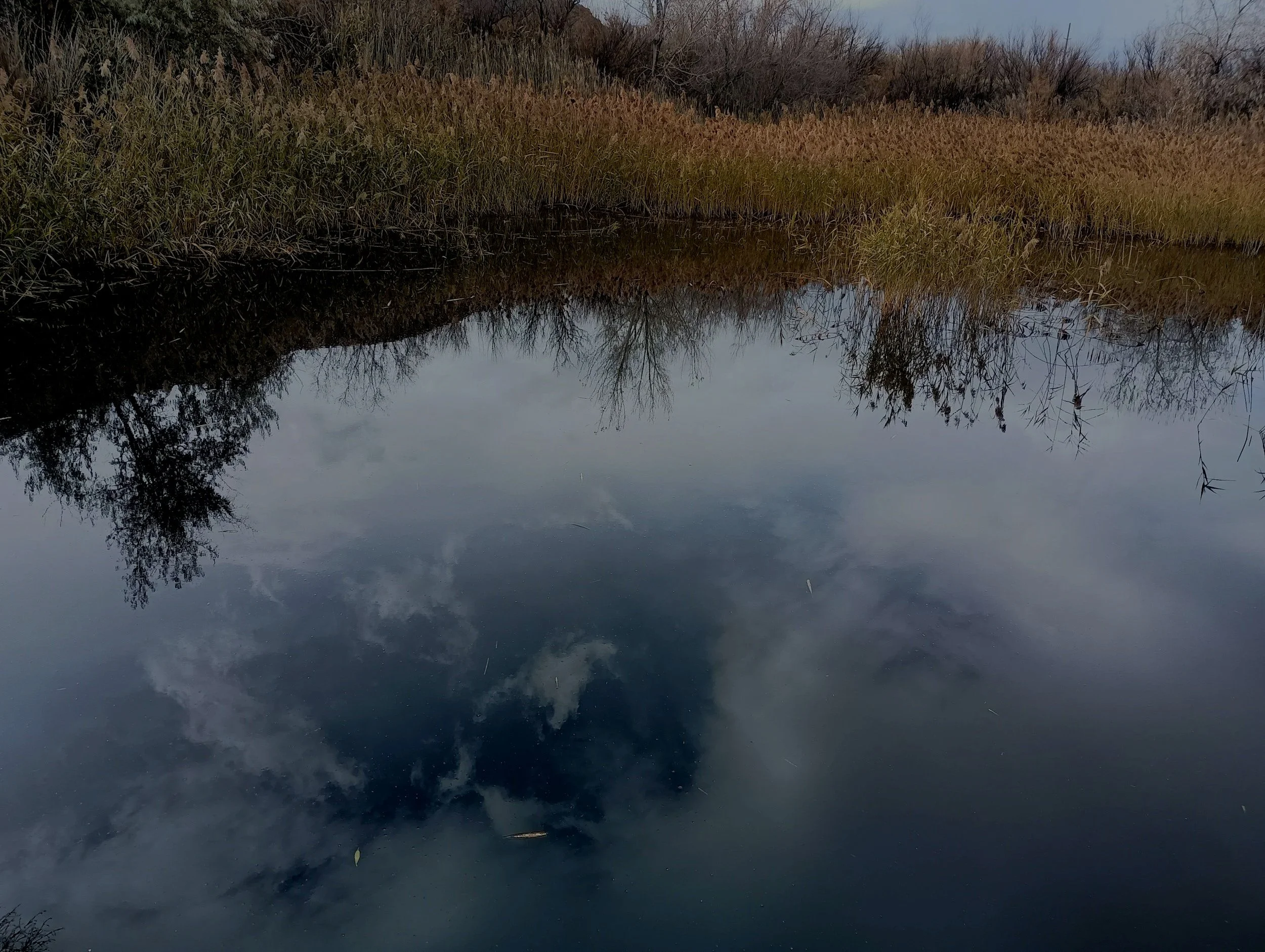 marshy lake