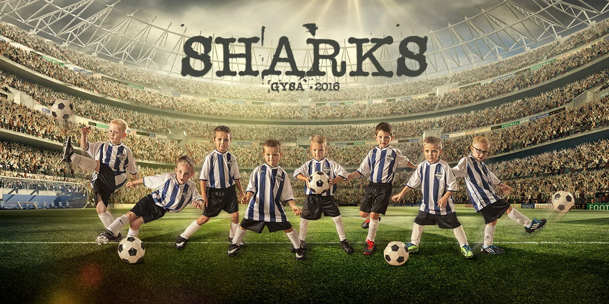 SHARKbanner2016 copy.jpg