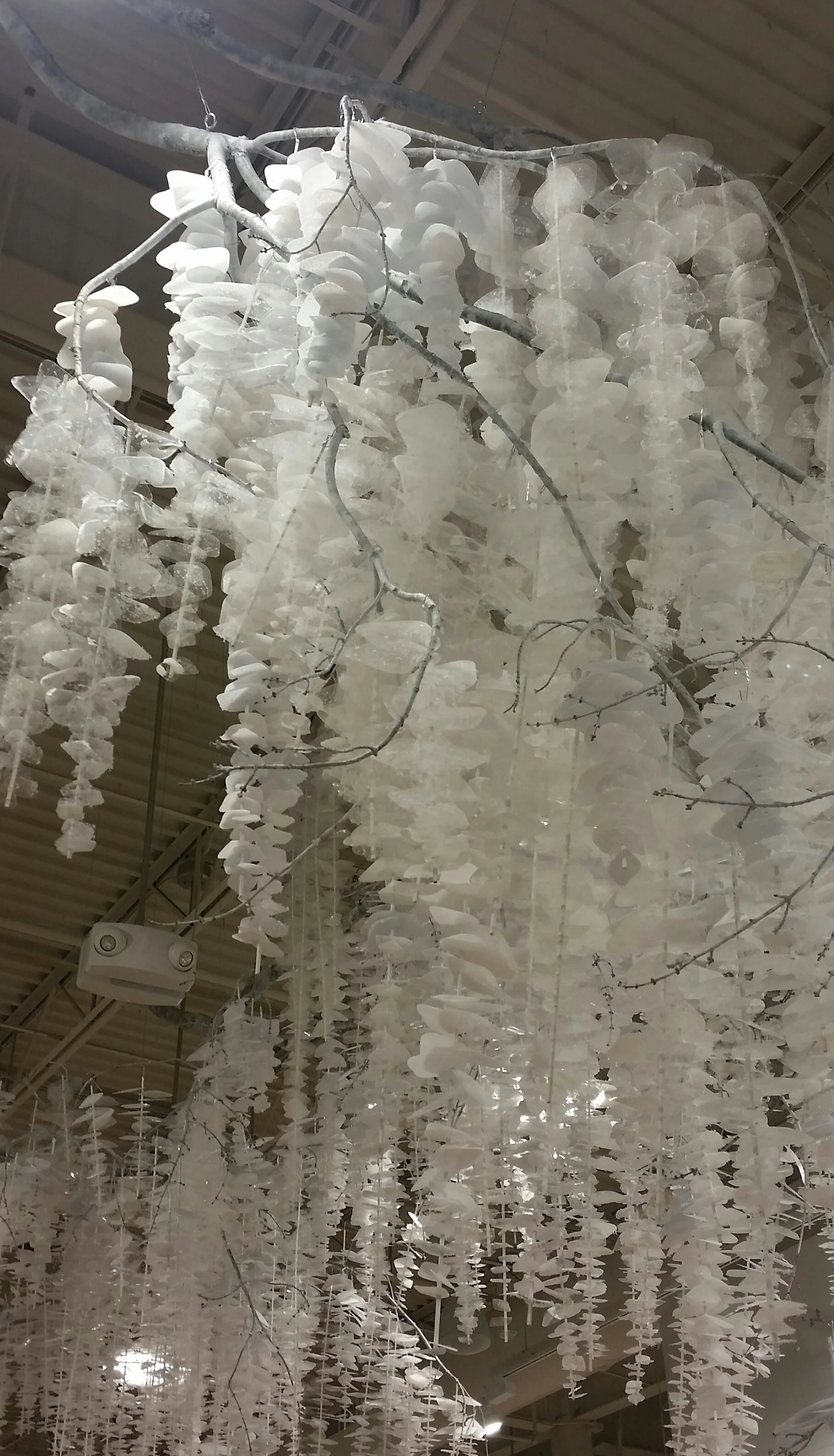 2016-12-09 10.07.58 (1).jpg