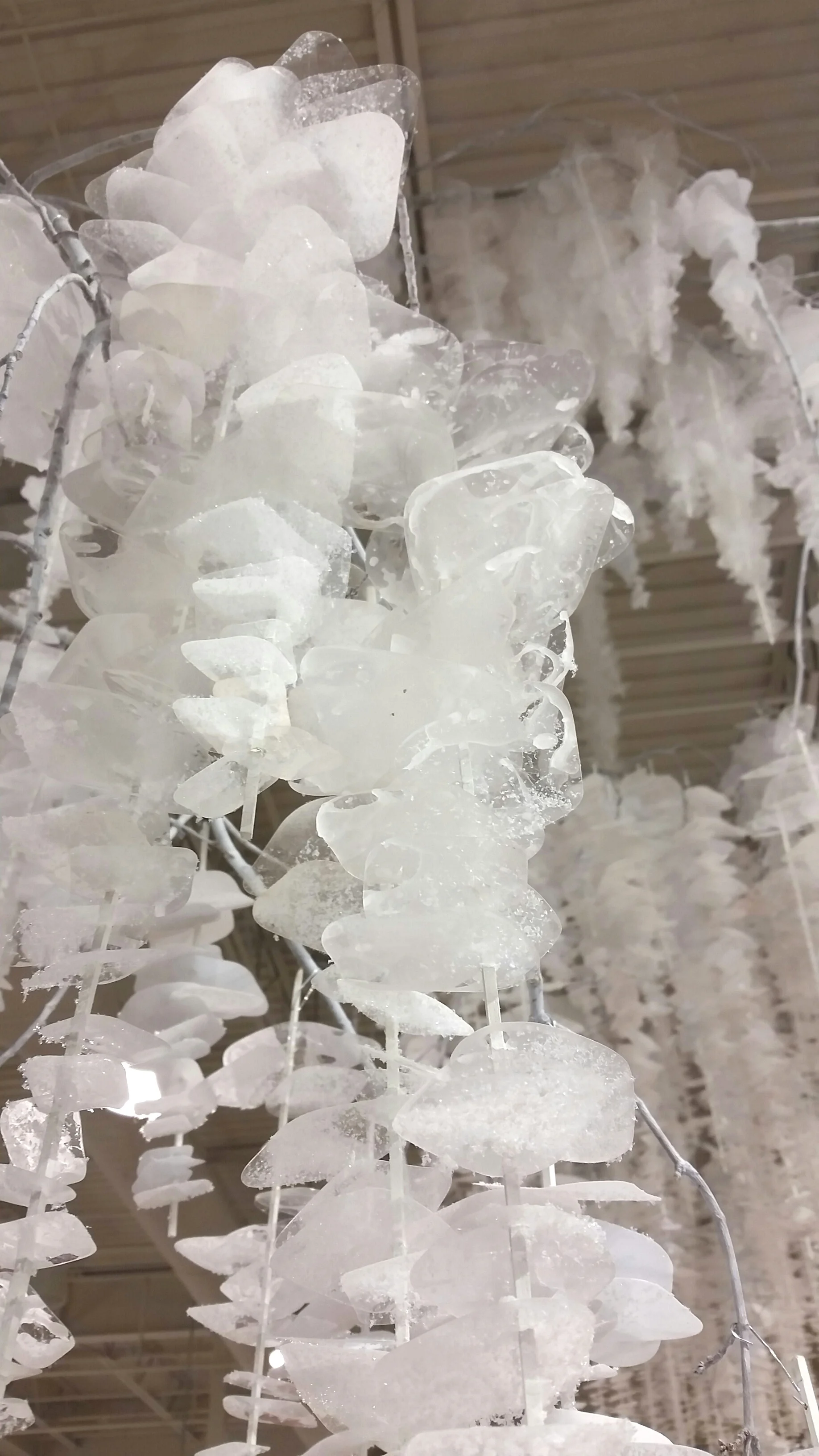 2016-12-09 10.03.59.jpg