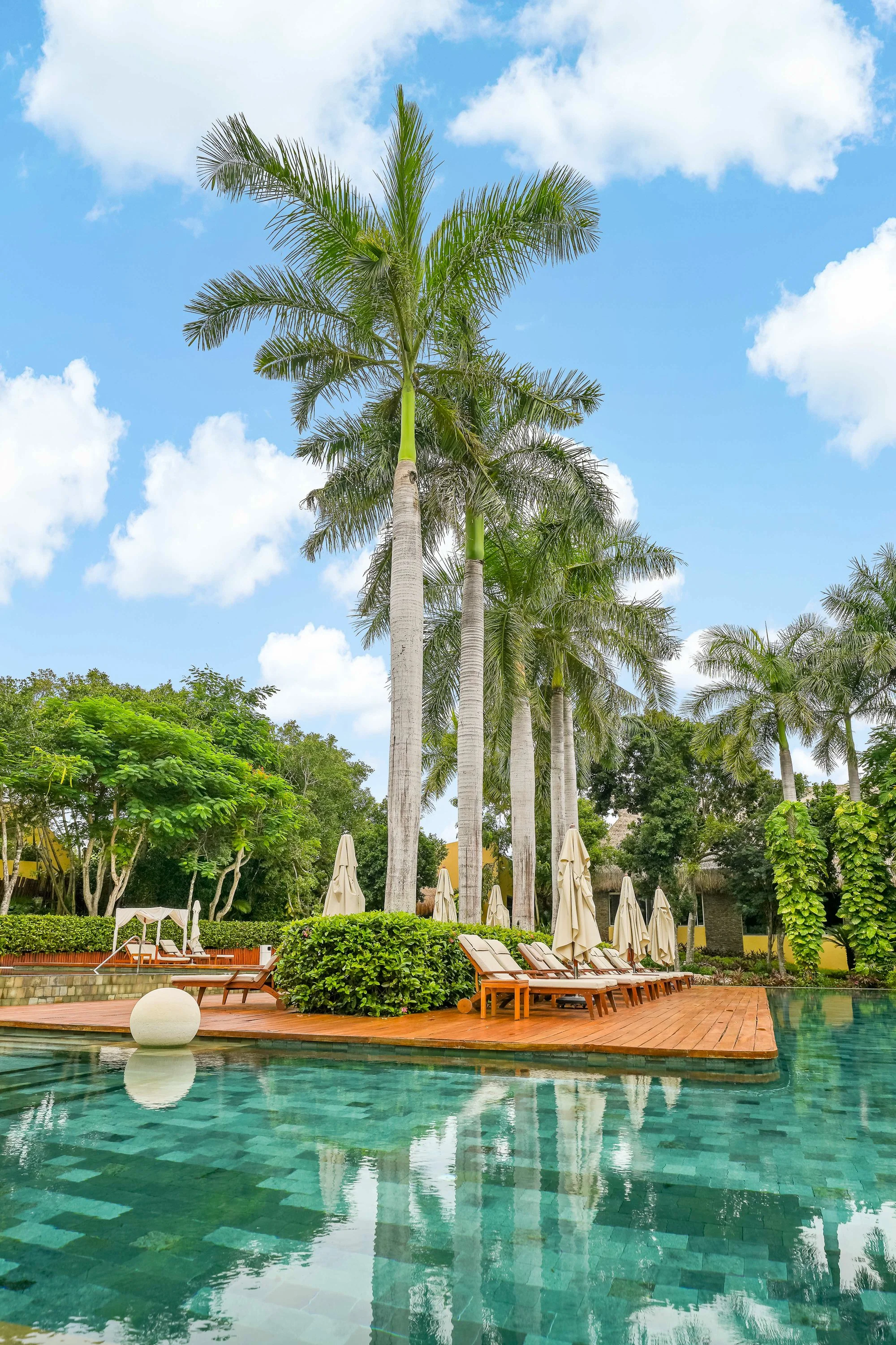 Grand Velas ETC-45.jpg