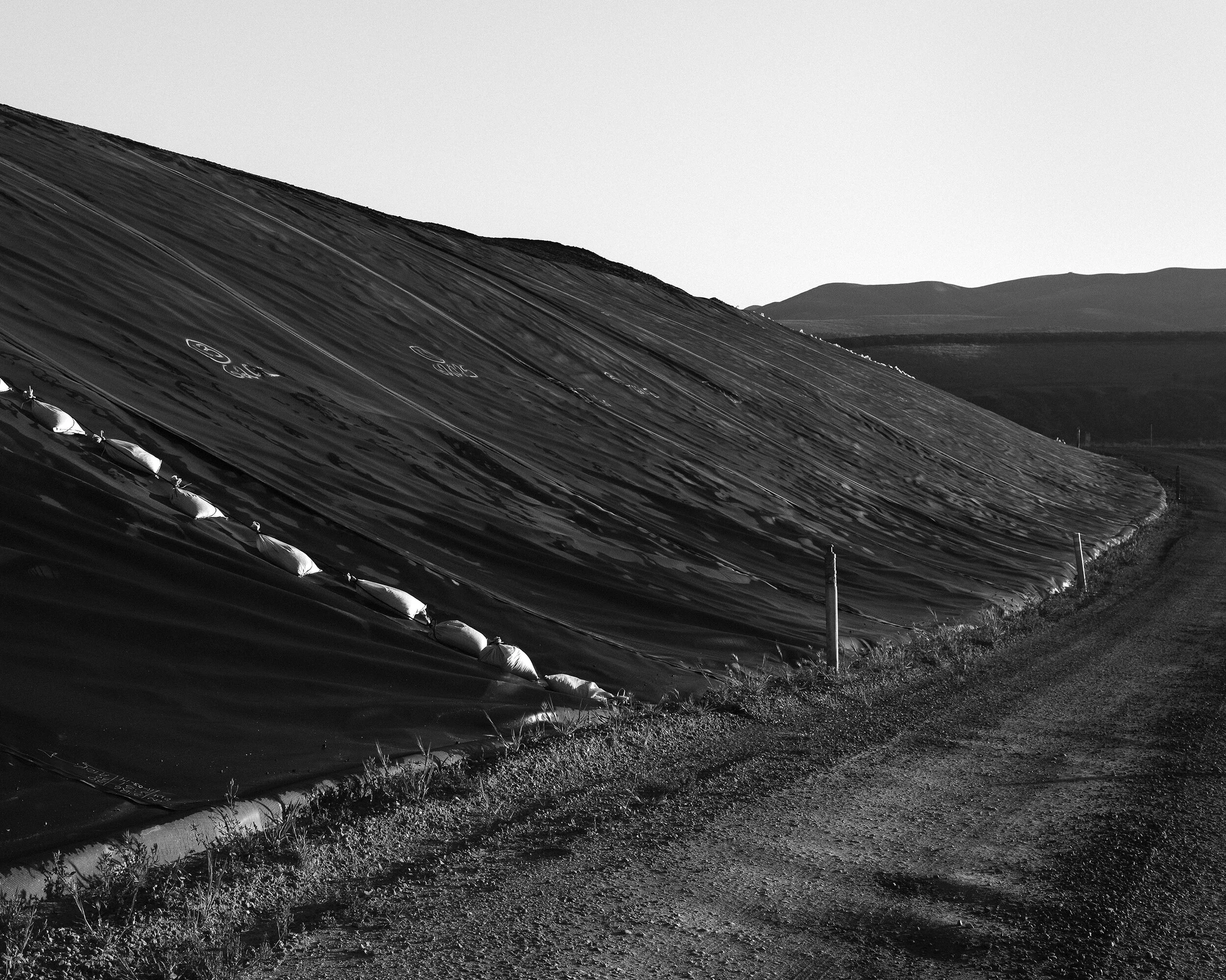 Brett Kallusky brett-kallusky