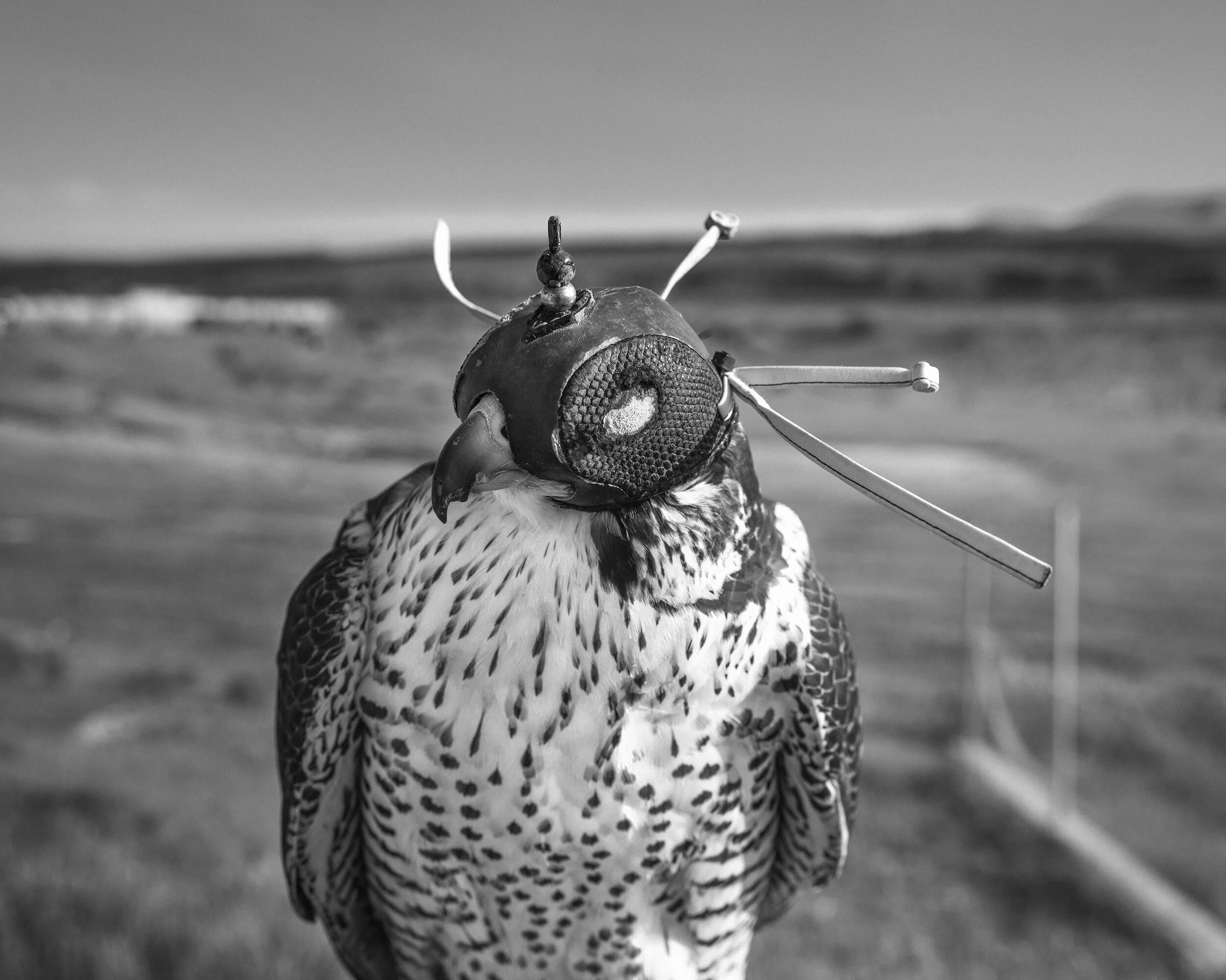 Brett Kallusky brett-kallusky