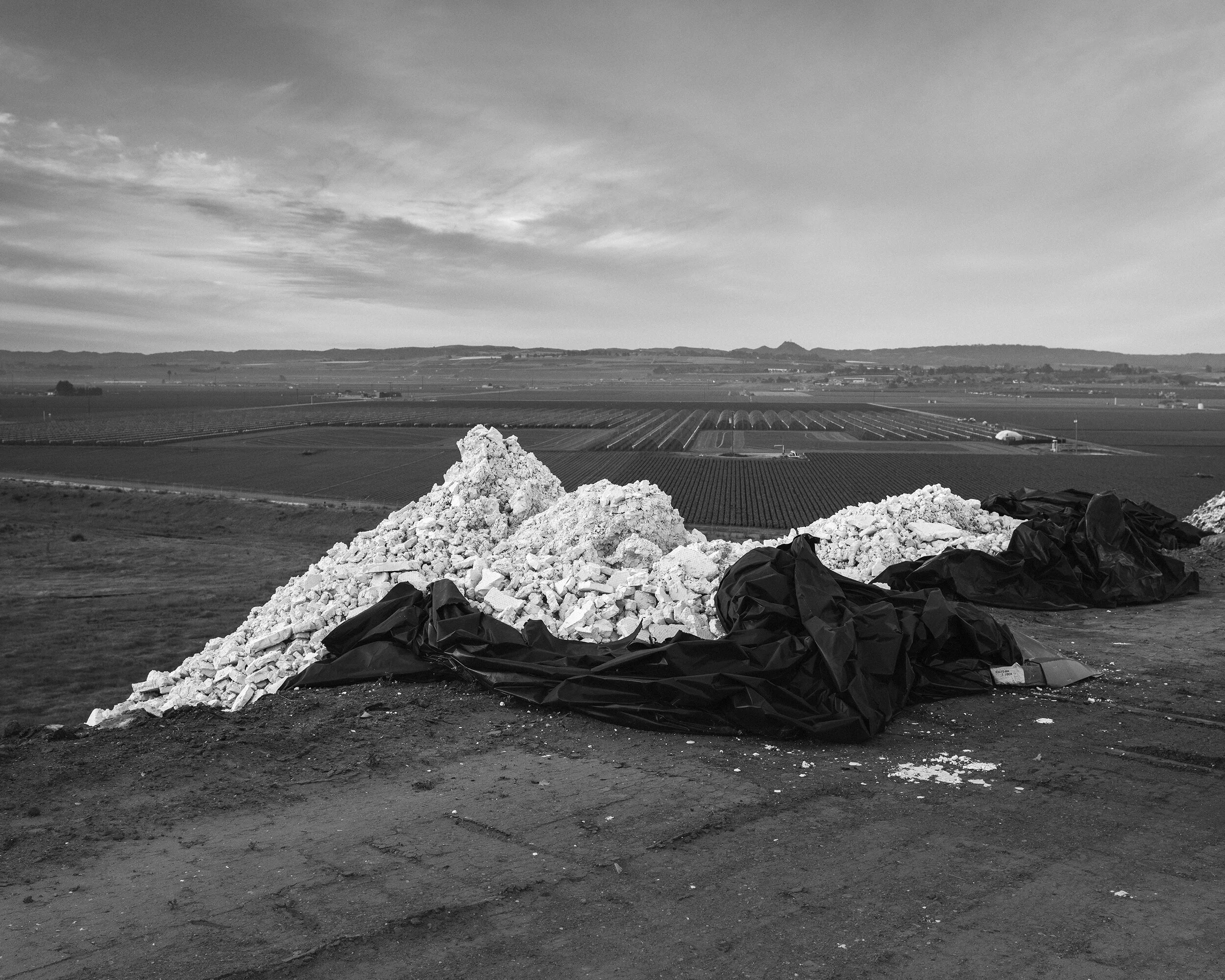 Brett Kallusky brett-kallusky