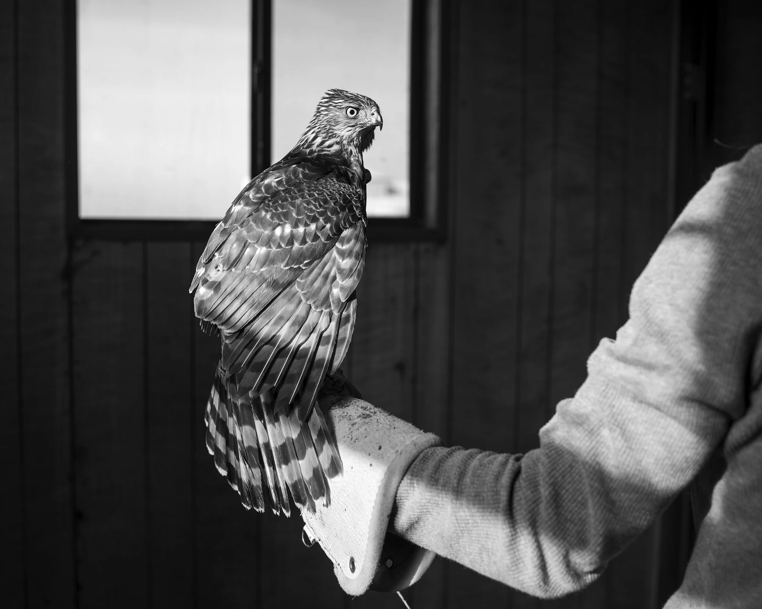 Brett Kallusky brett-kallusky