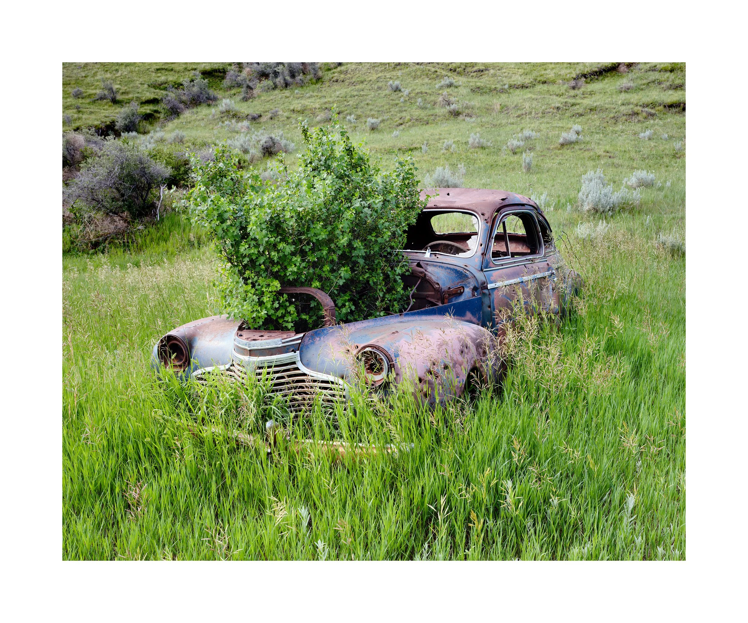 Wasteland. Committed: Montana, 2025. 20 x 24 inches.