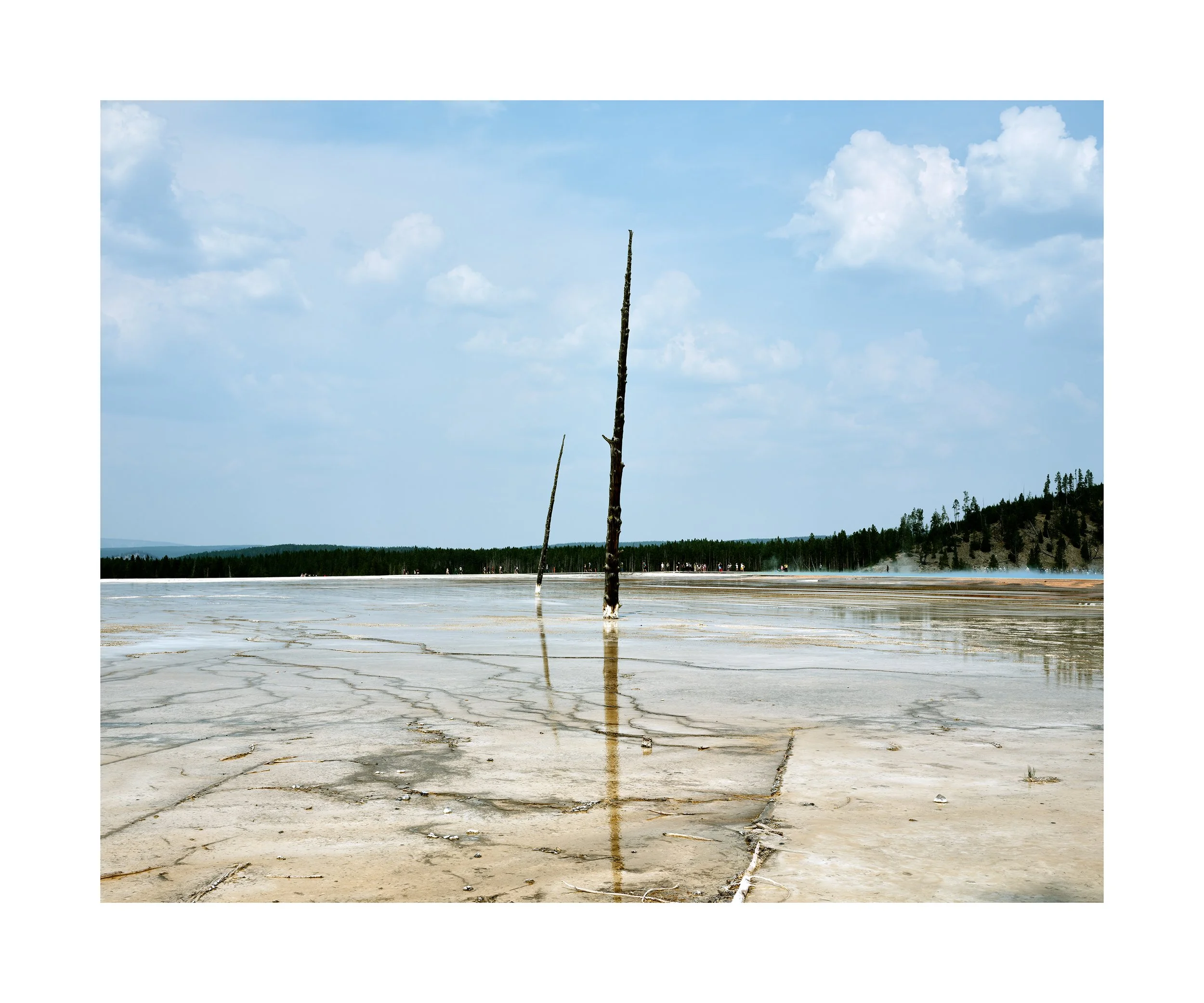 Wasteland. Watermark: Yellowstone National Park, Wyoming, 2024. 20 x 24 inches.