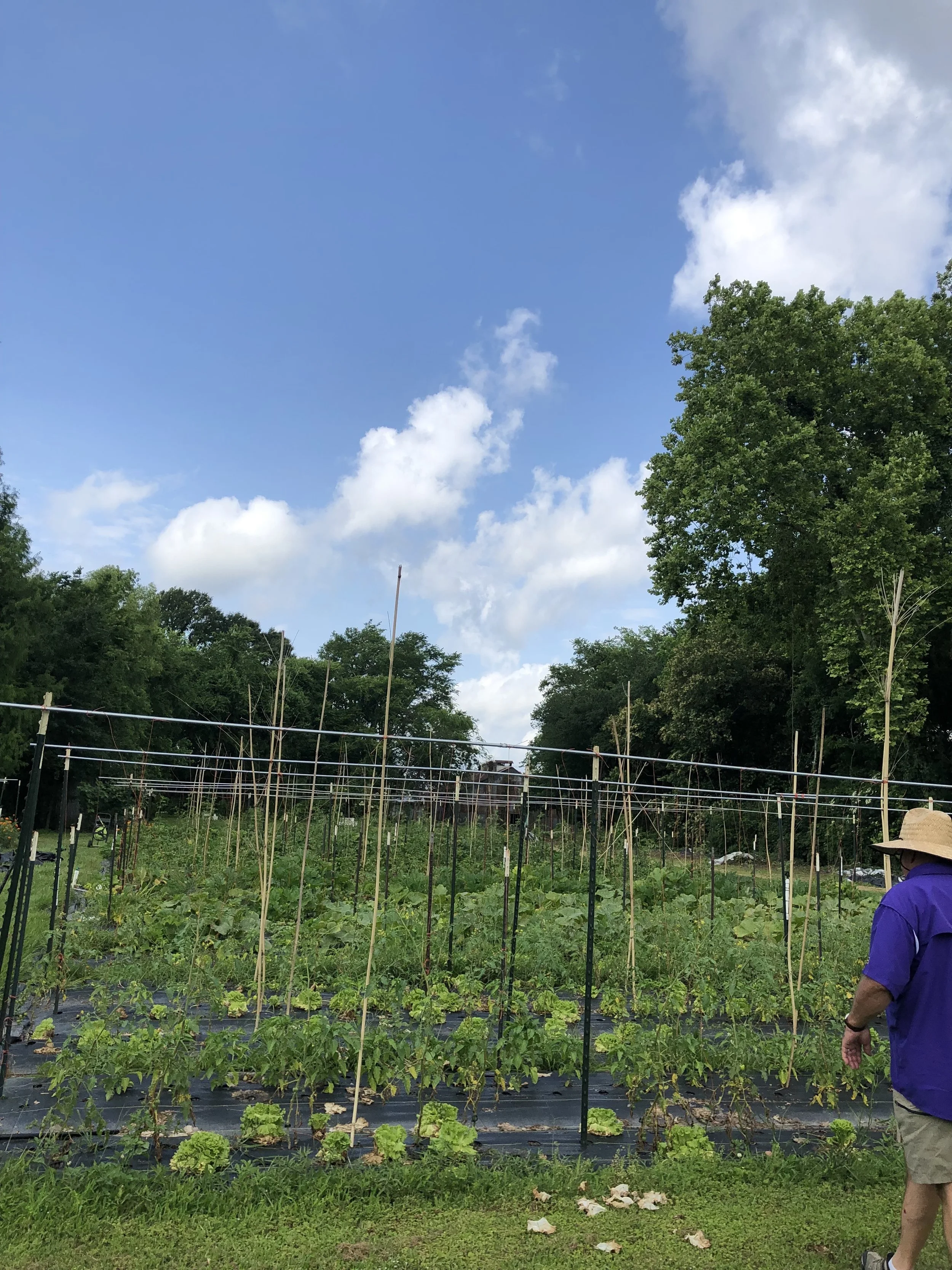 Have You Seen What We Do On Our Food, Farm and Cooking Tours  at Red Stick Spice Baton Rouge? 