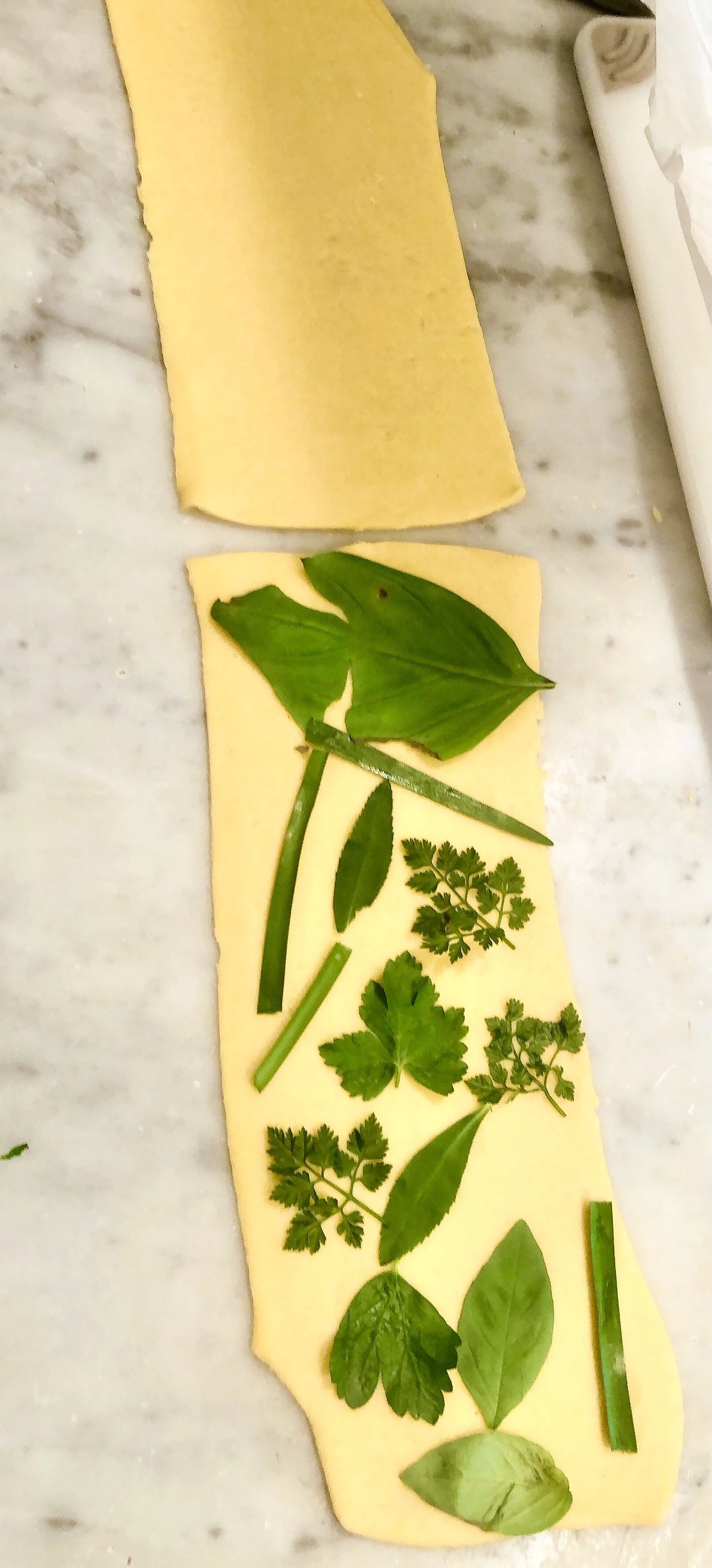 Fresh  Herb Pasta Sheets