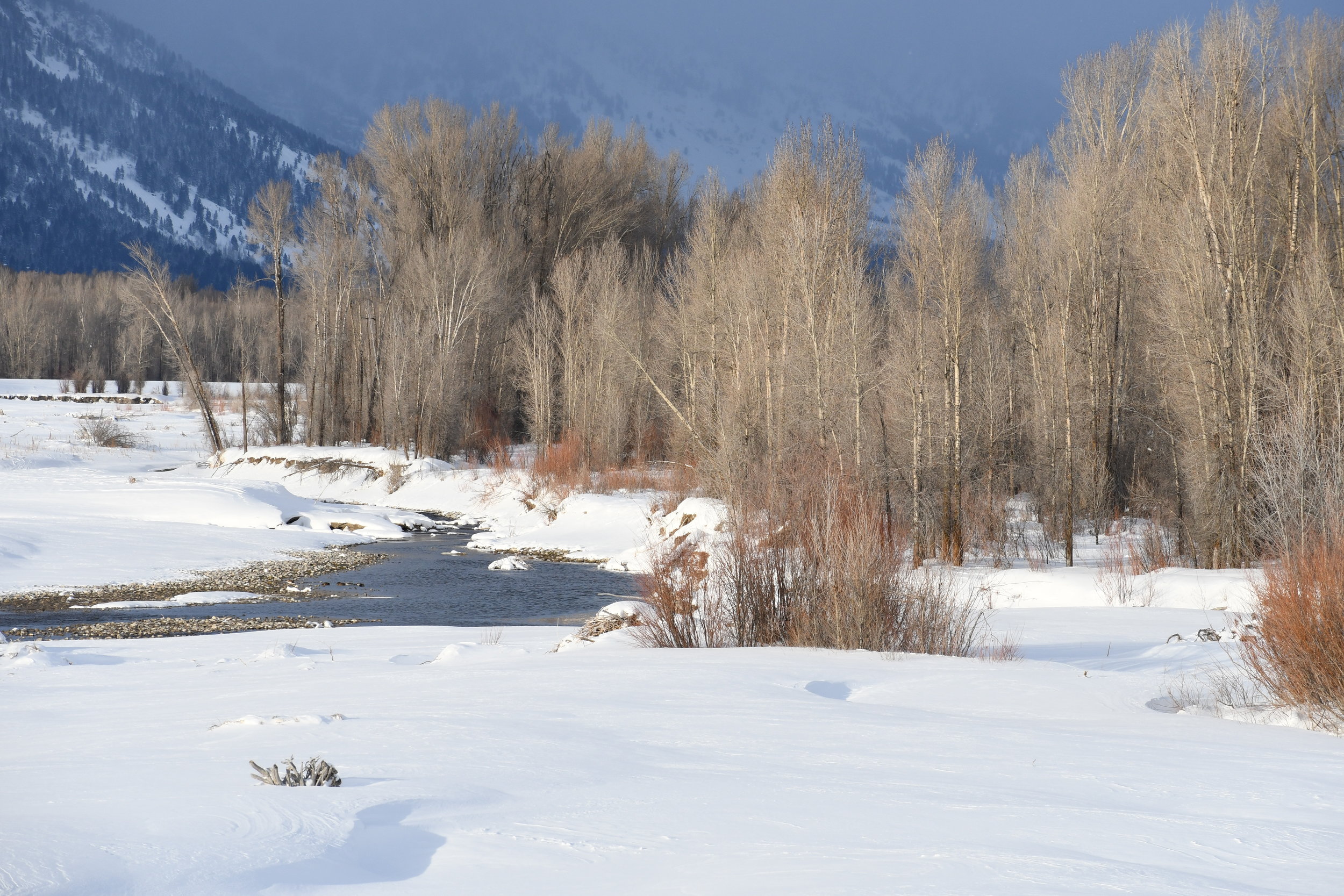 Snake River, Wyoming