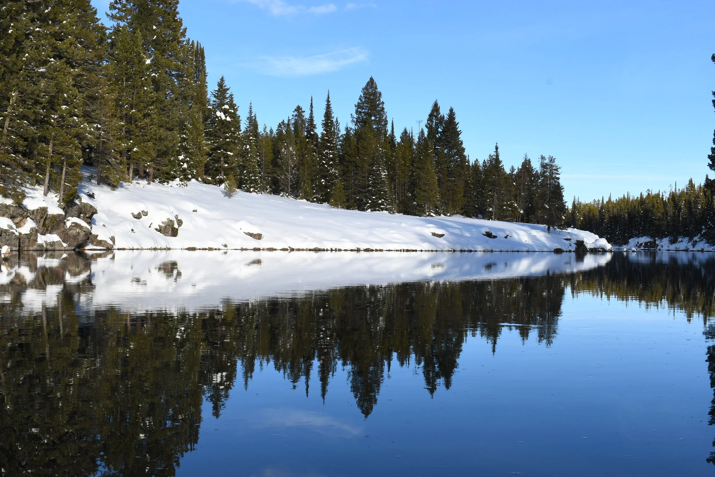Buffalo River, Montana