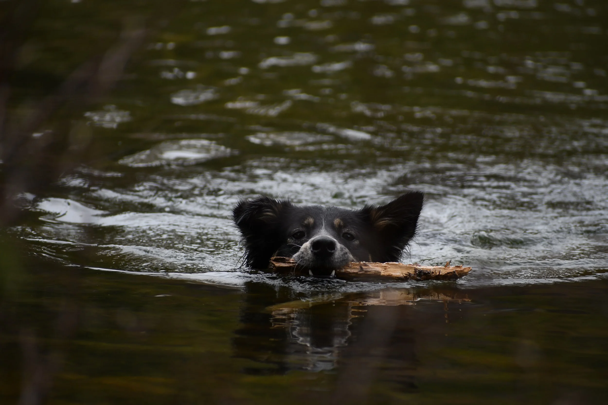 Finding her way home 