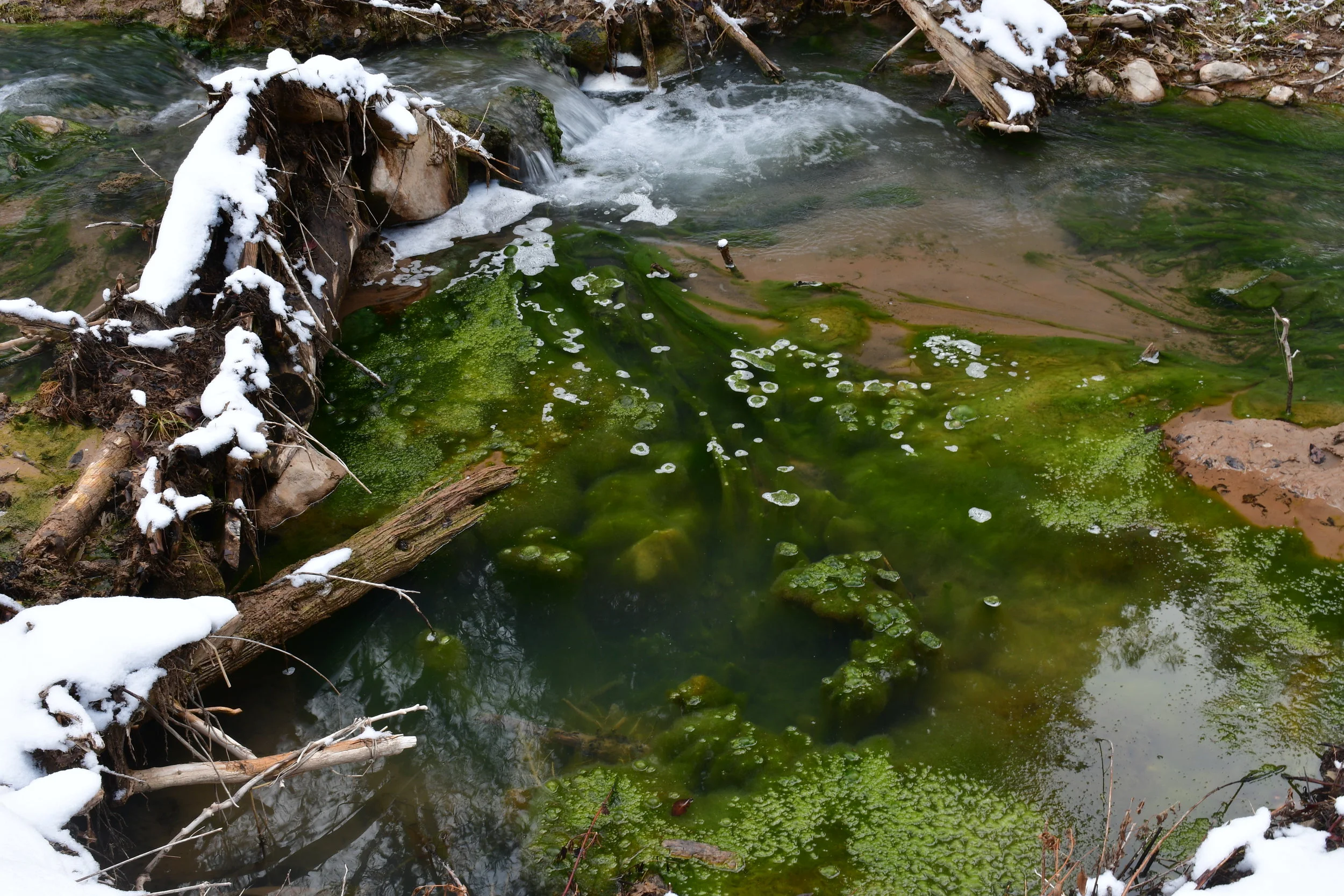 Sixth Water Creek, Utah 