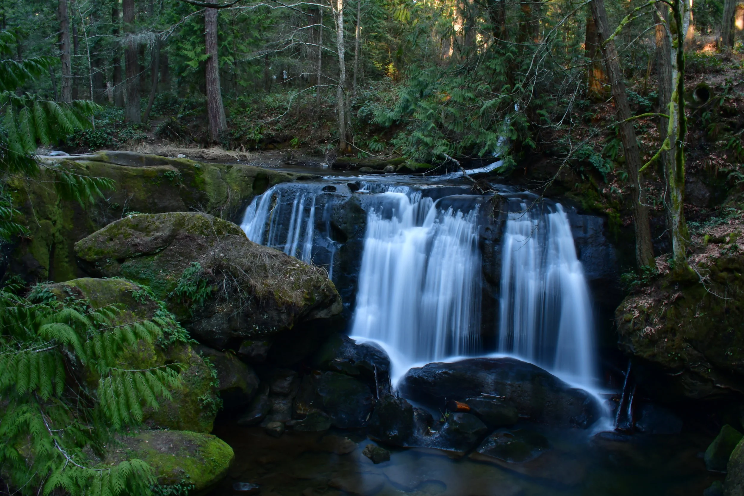 Whatcom Falls, Washington