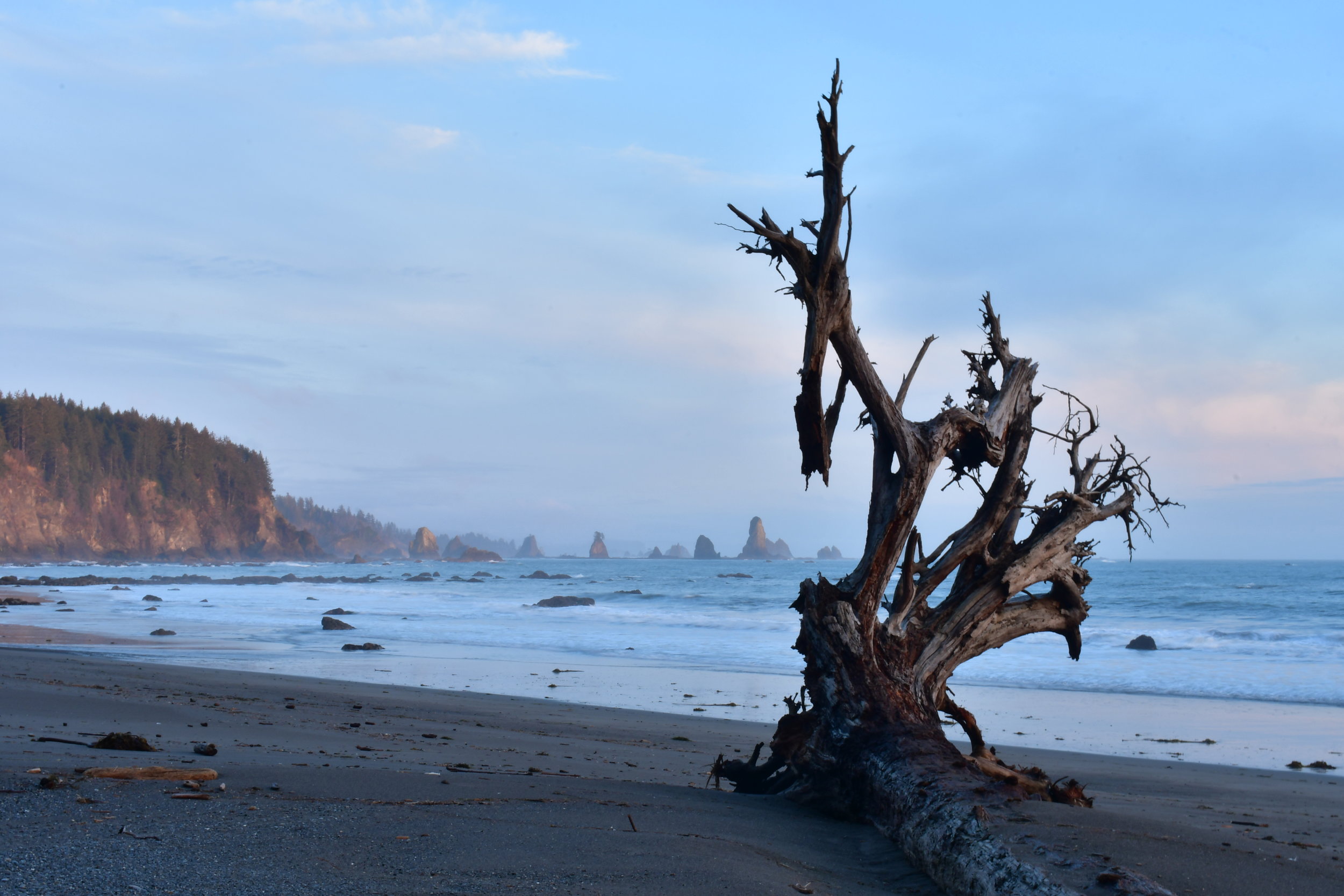 Blissful Beach Landscape 