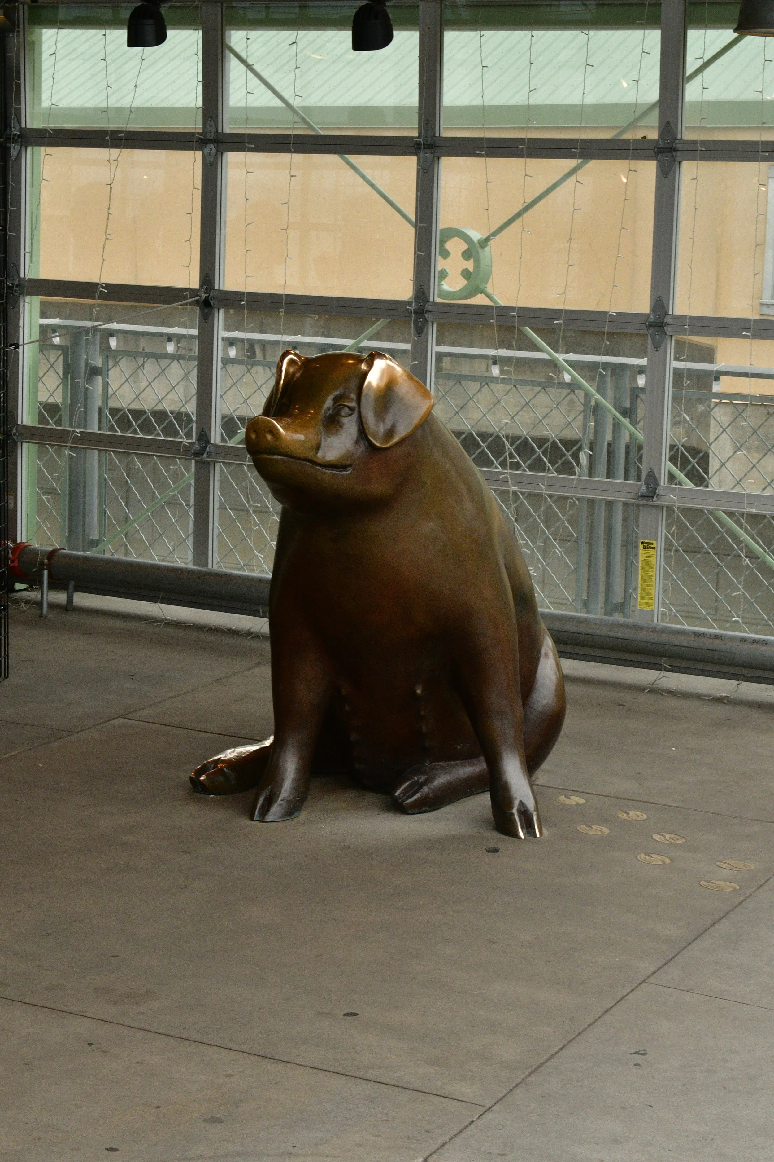 DSC_5487.JPG