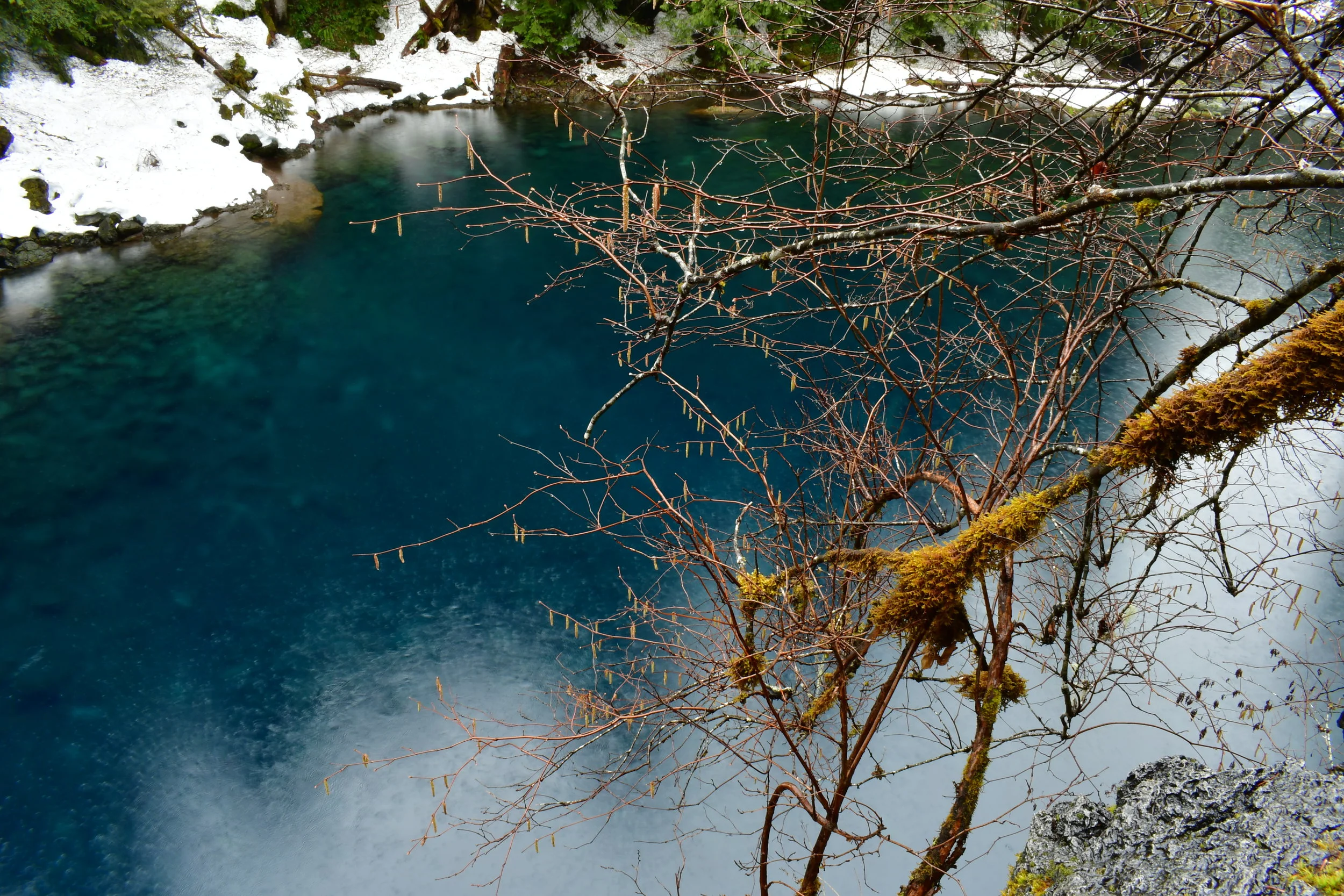 Tamolitch Blue Pool, Oregon