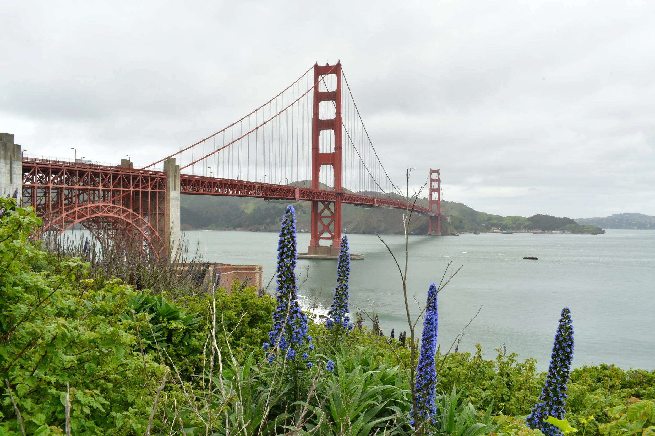 Made it to San Francisco 