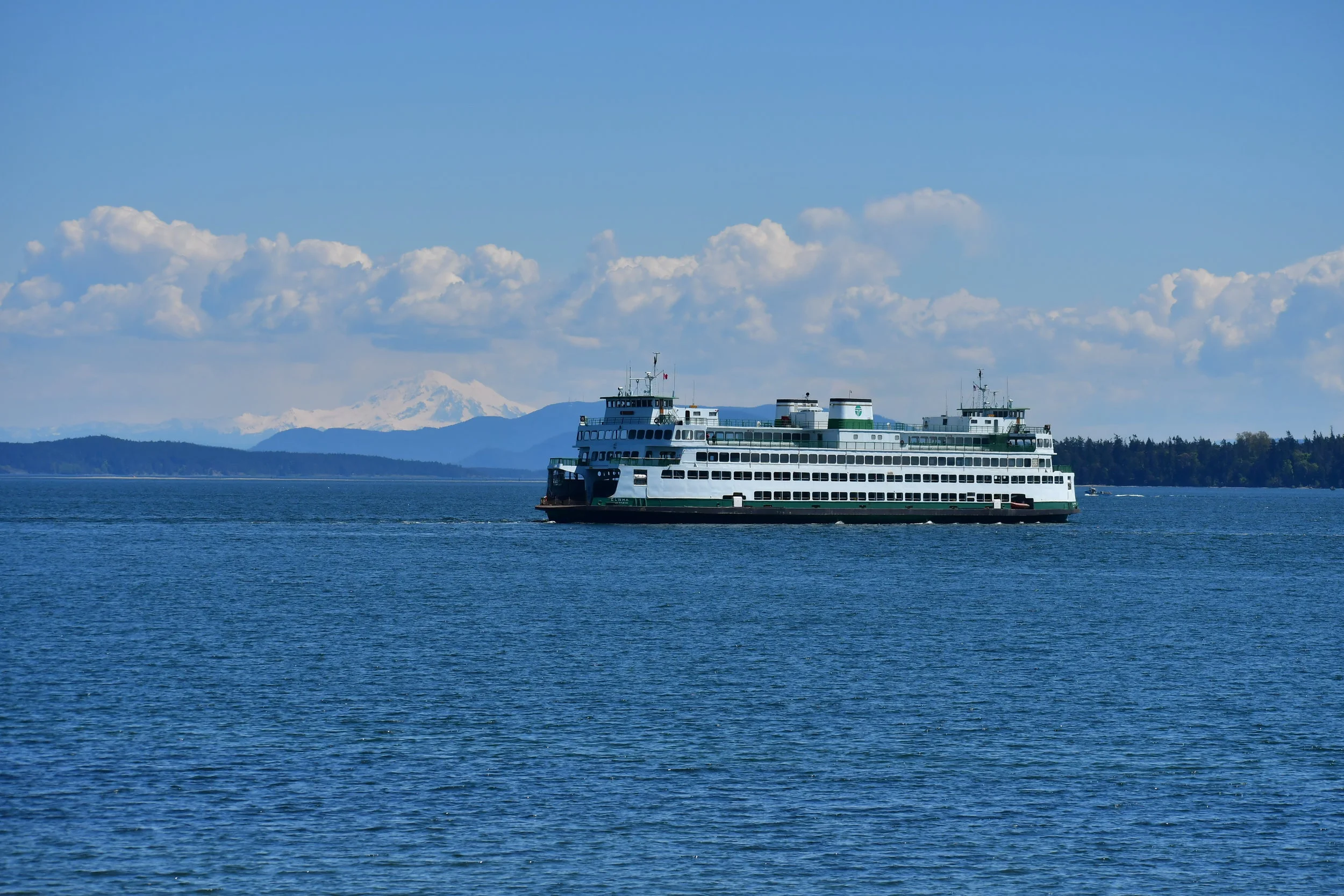 DSC_7291.JPG