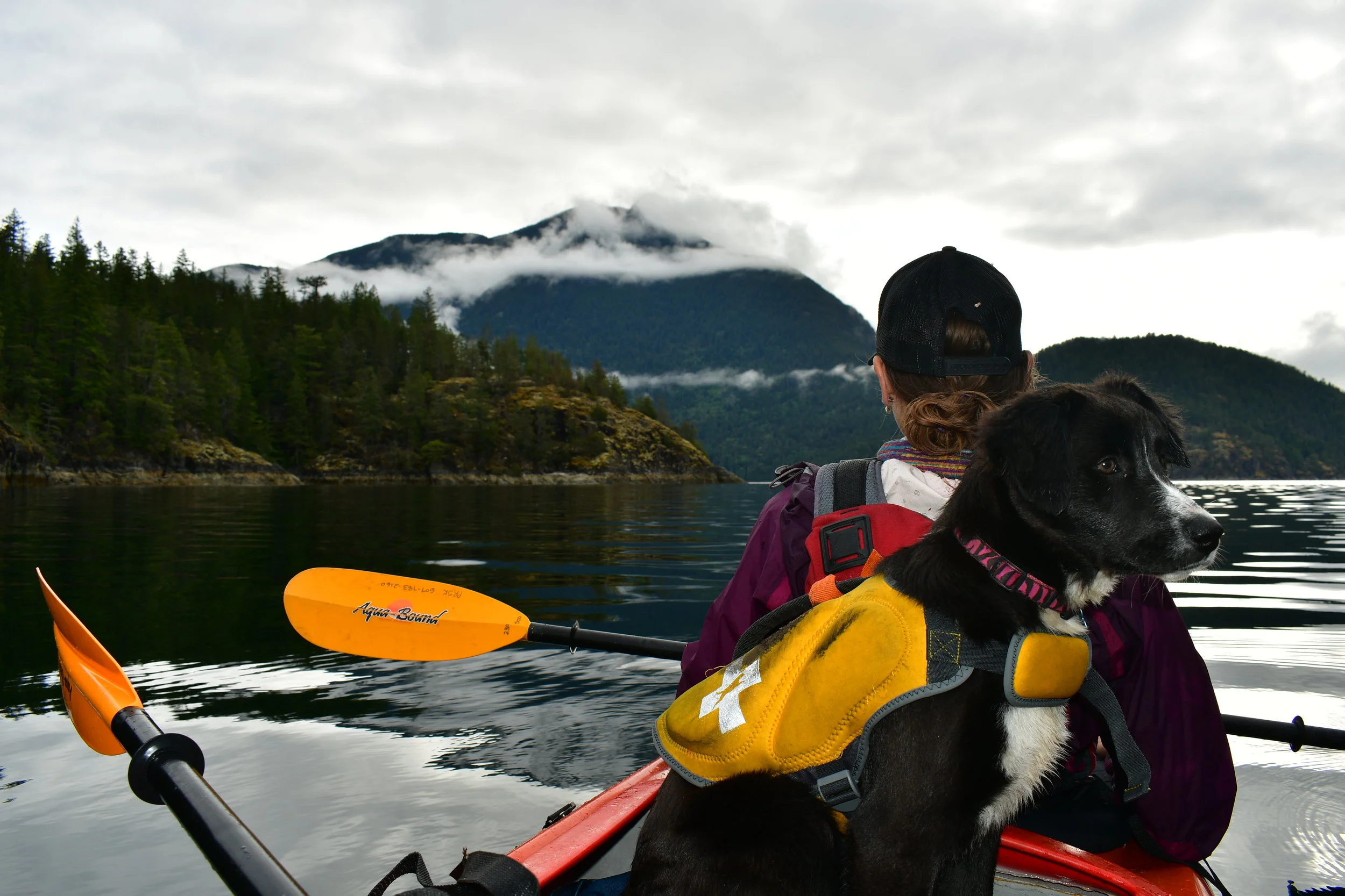 Calm Morning on the Water