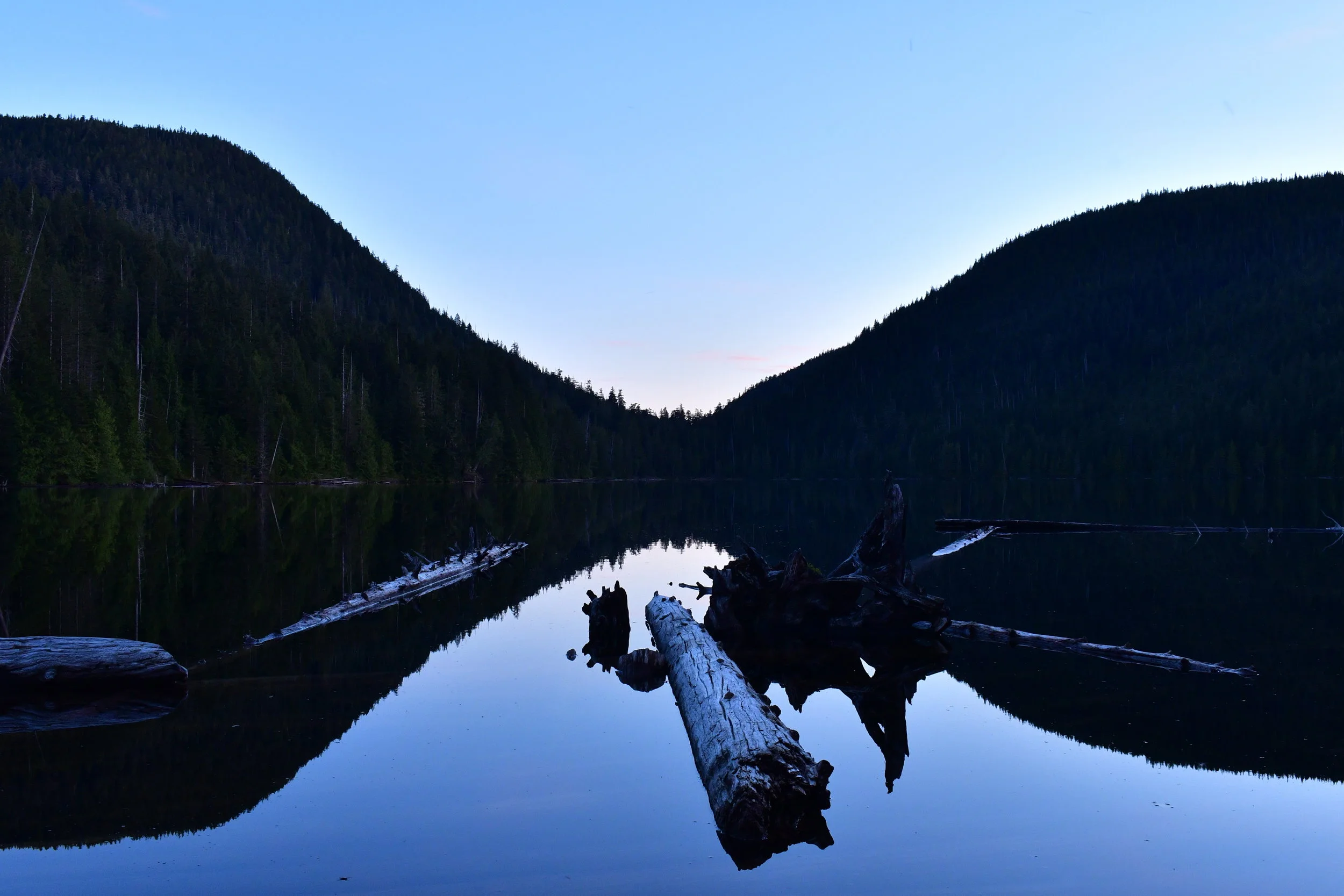 DSC_8818.JPG