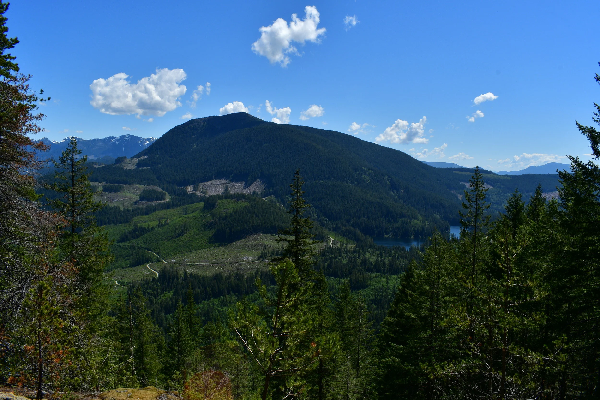 DSC_8853.JPG
