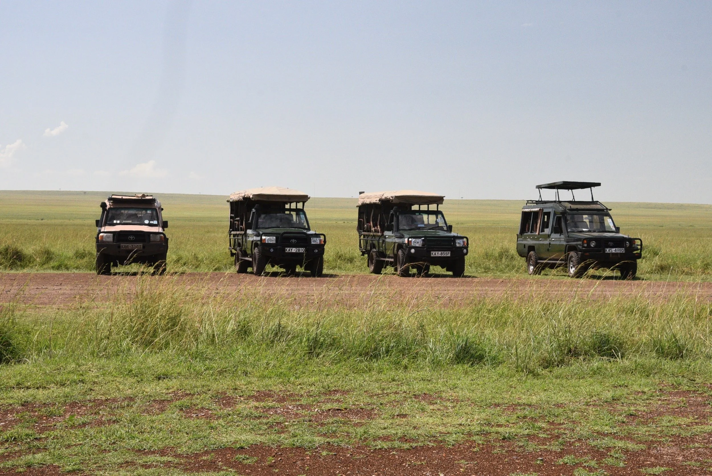 Safari (12).jpg