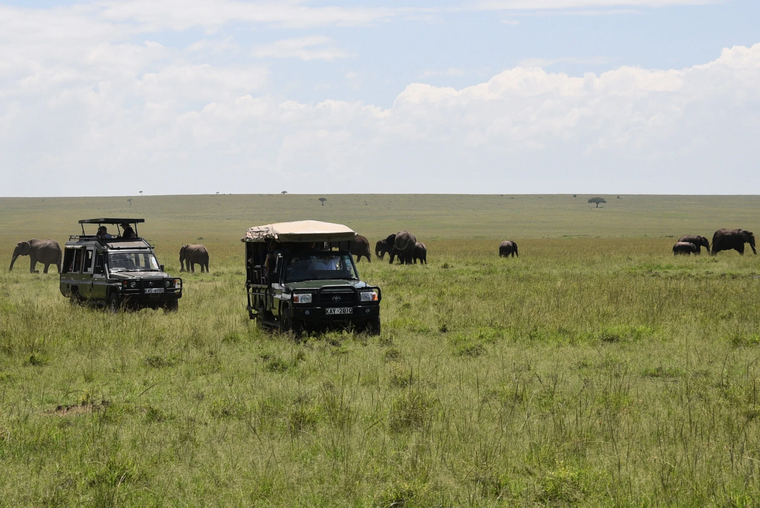 Safari (25).jpg