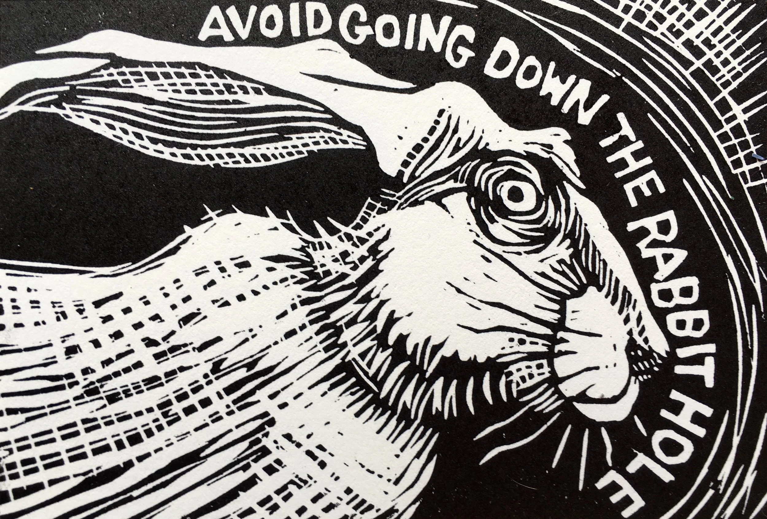 Avoid Going Down the Rabbit Hole