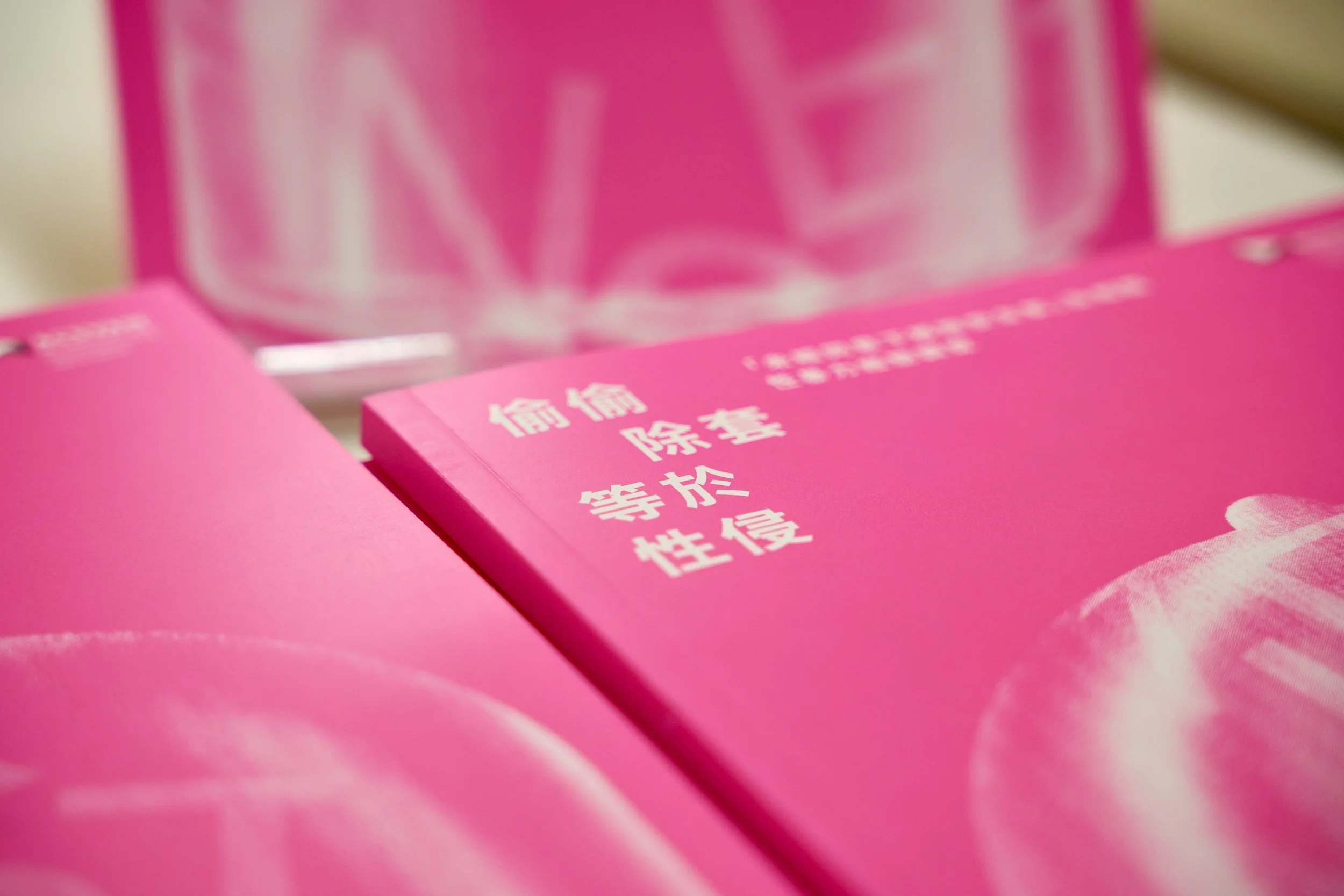 20251113 ACSVAW NCCR REPORT LAUNCH - Report Cover.jpeg