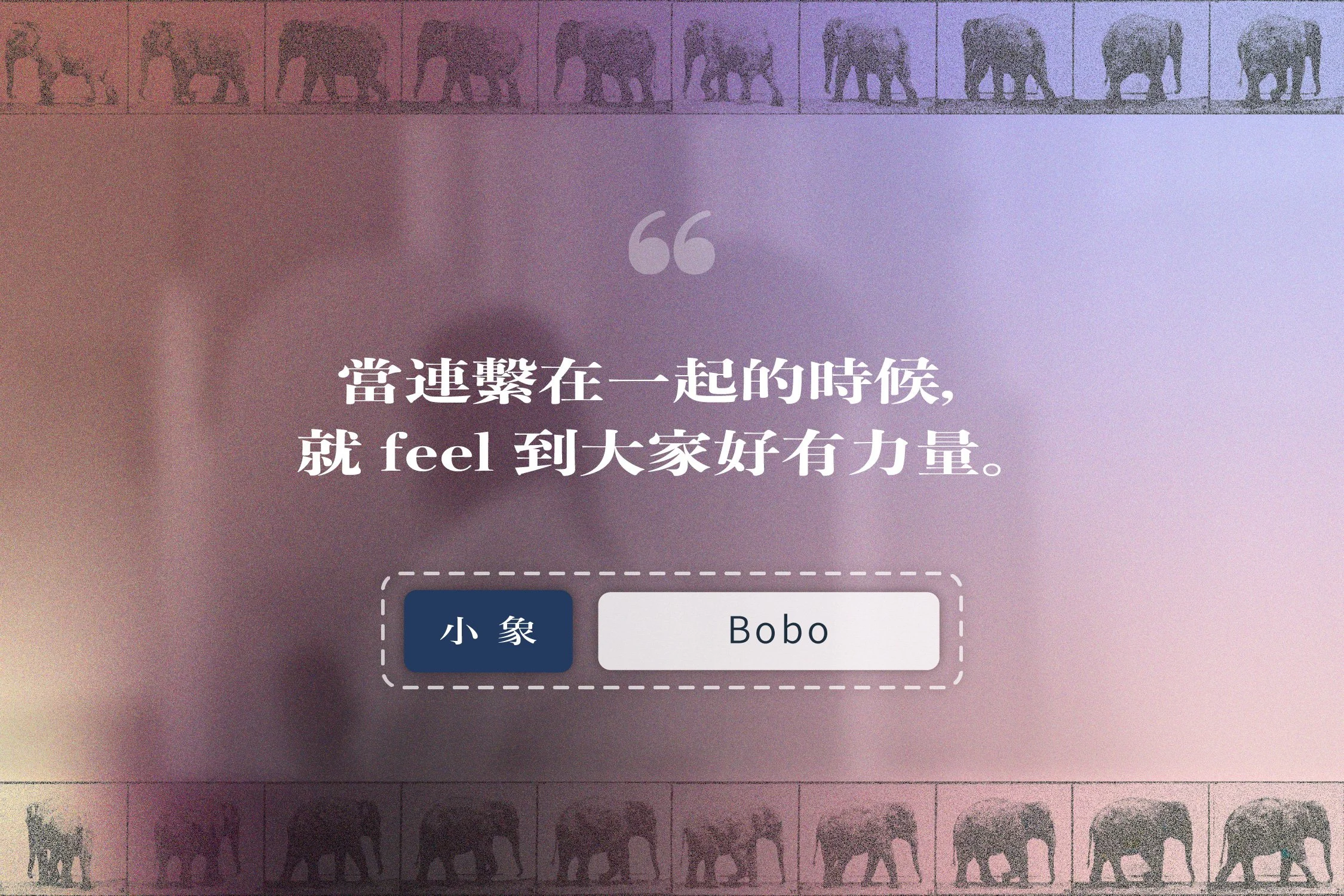 「大象轉身」成員 Bobo 的故事