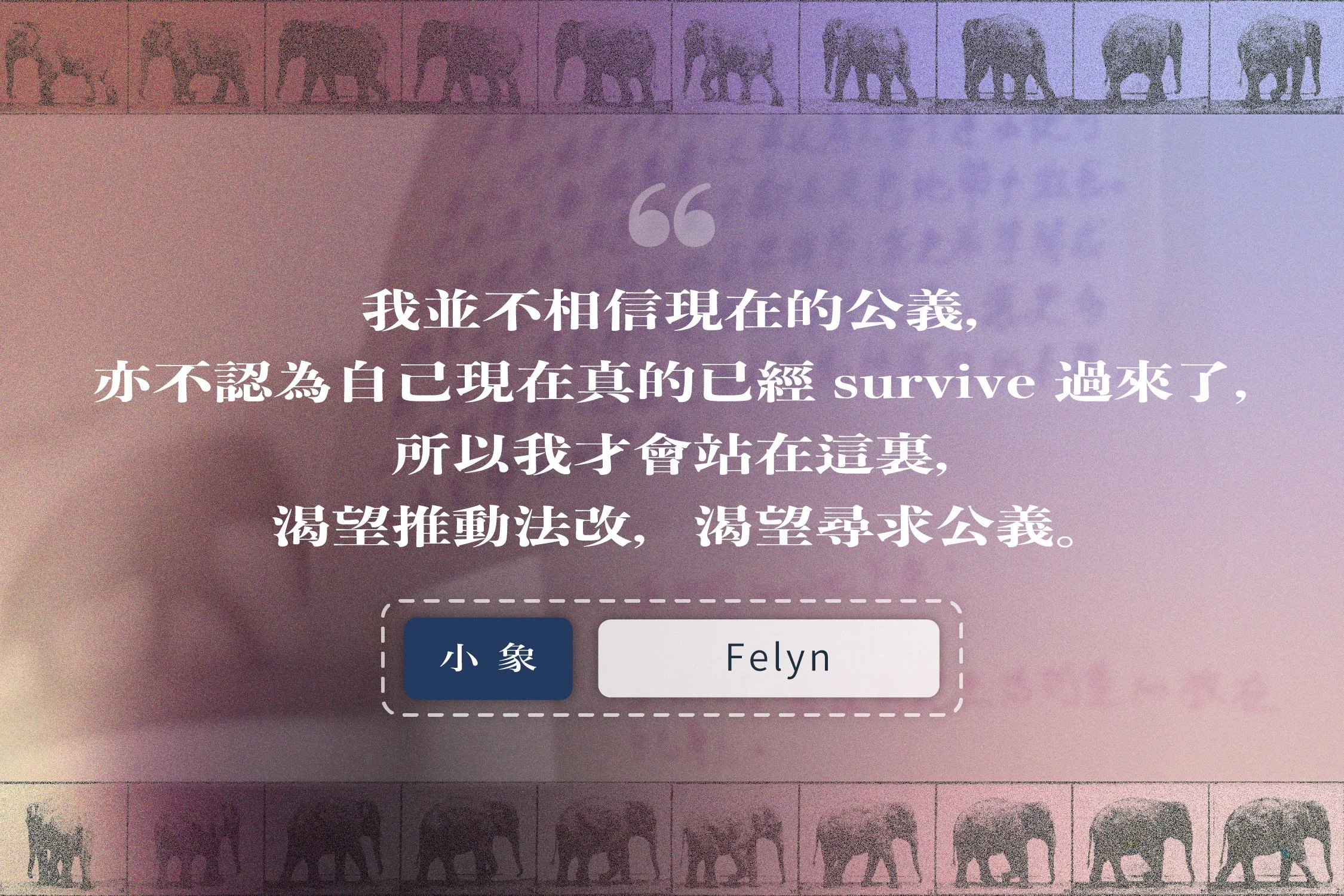 「大象轉身」成員 Felyn 的故事