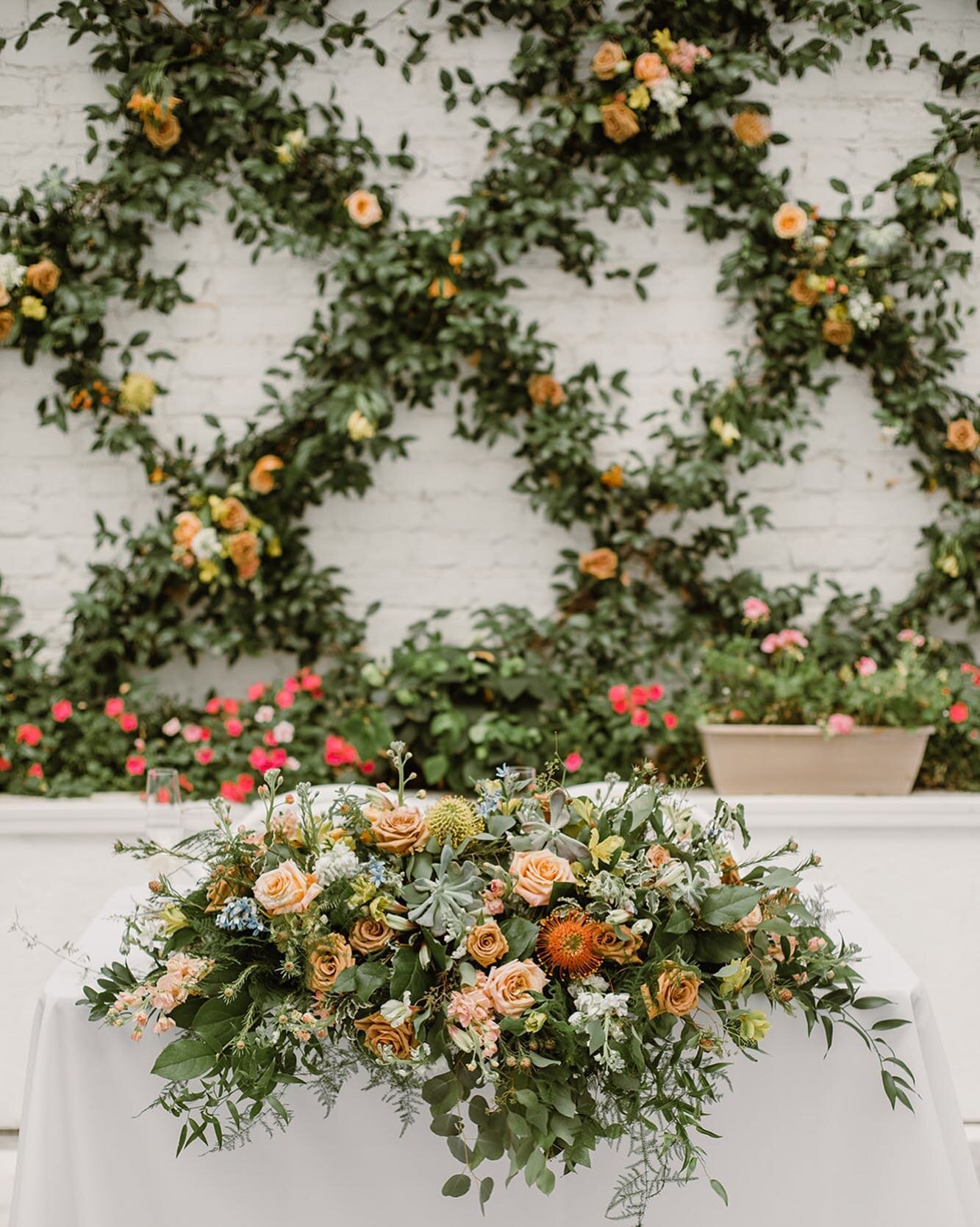 A question we ask in every consultation - sweetheart table or head table? Emily + Matt&rsquo;s sweetheart table from their intimate Quirk wedding this past weekend are what botanical dreams are made of 🌿💛
.
.⁠
.⁠⠀⁠⠀
🌸: @weddingsbyvogue 
📸: @sarah
