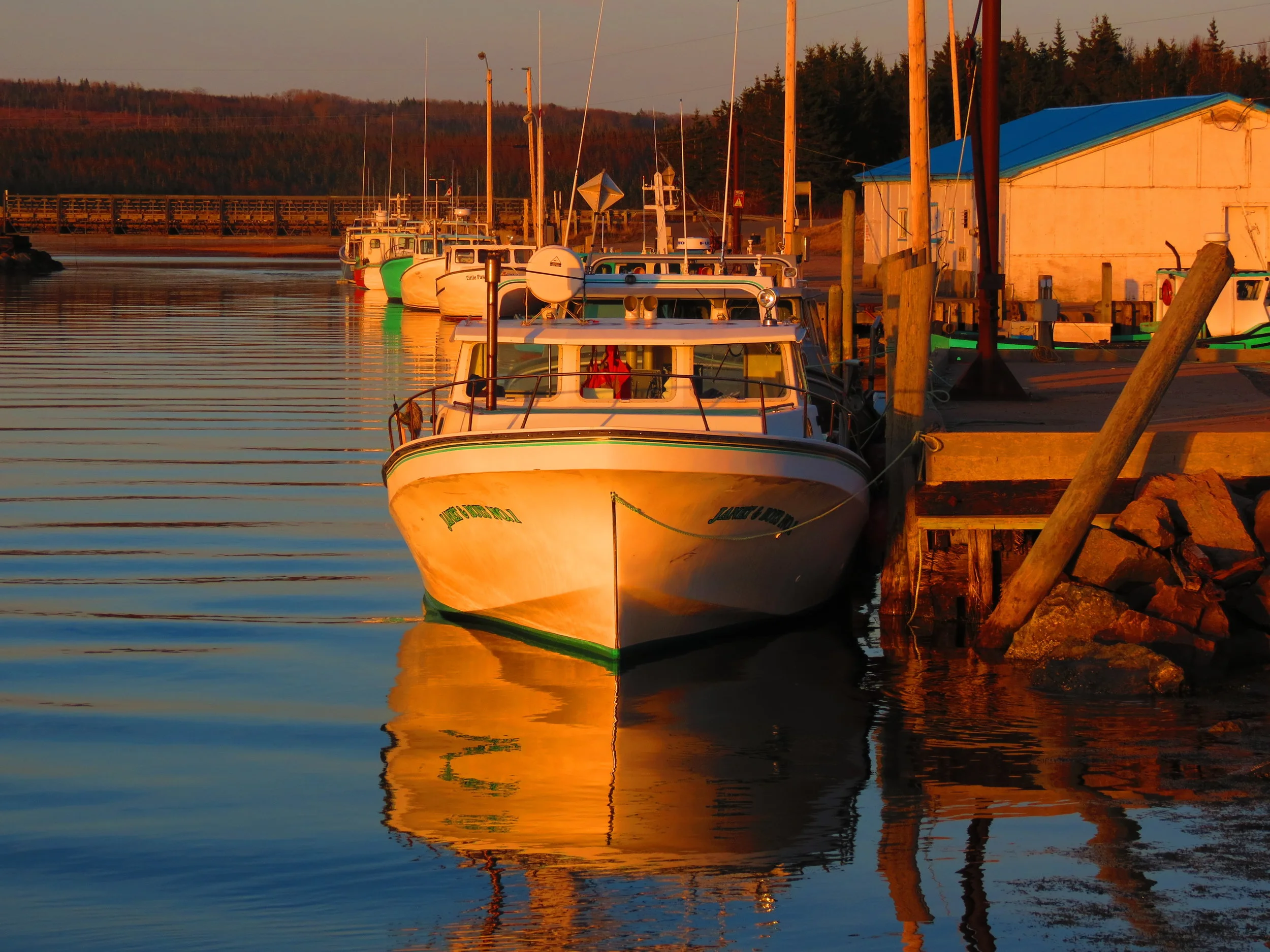 Little Judique Harbour