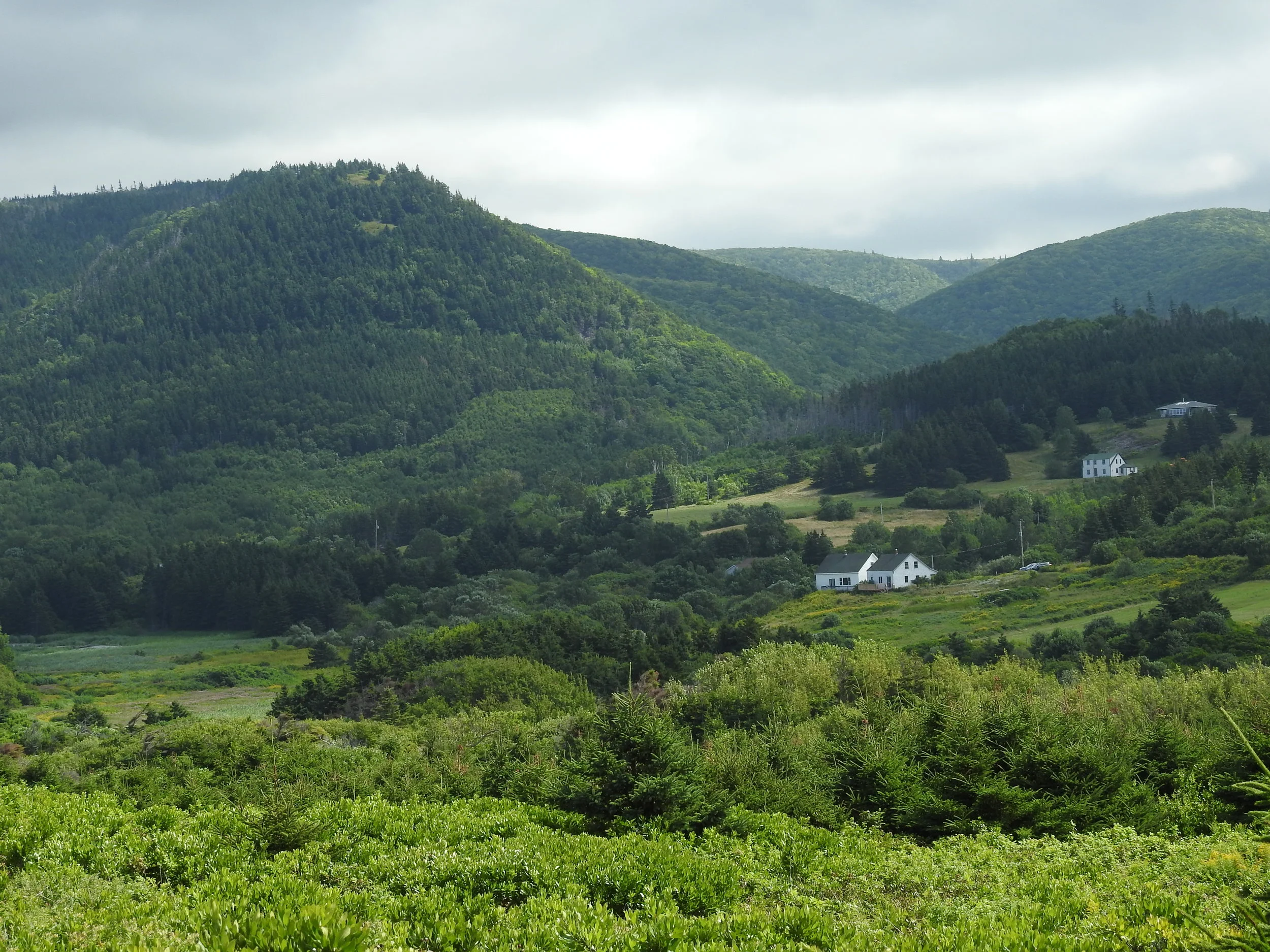 Mabou Mines Road and Findley's