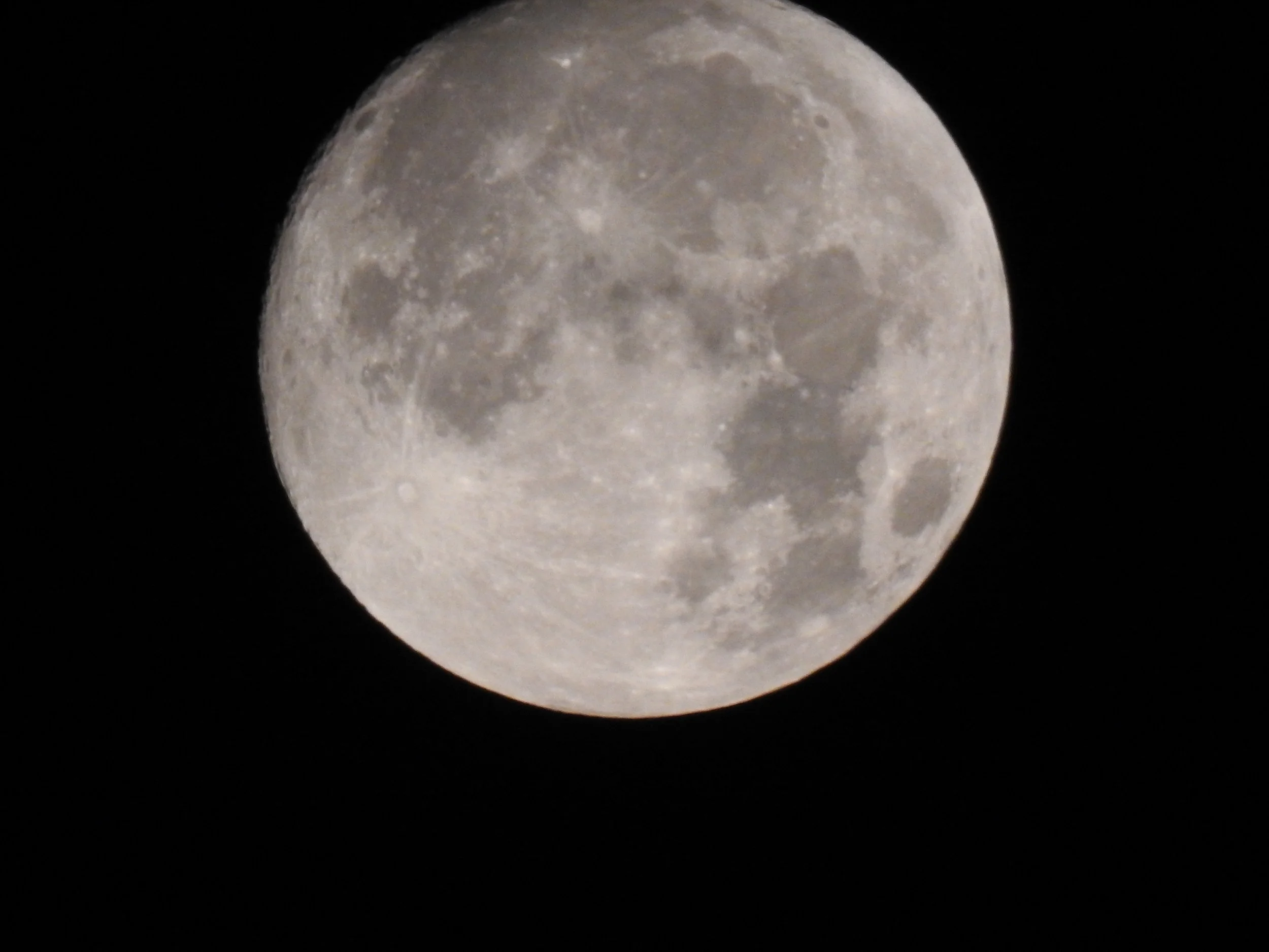 CB 25 Aug - Labour Day Phil 003.JPG