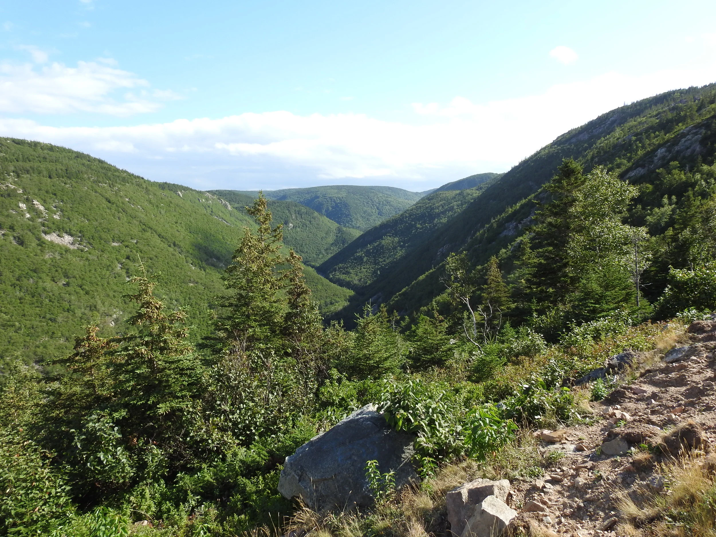 CB 25 Aug - Labour Day Phil 088.JPG