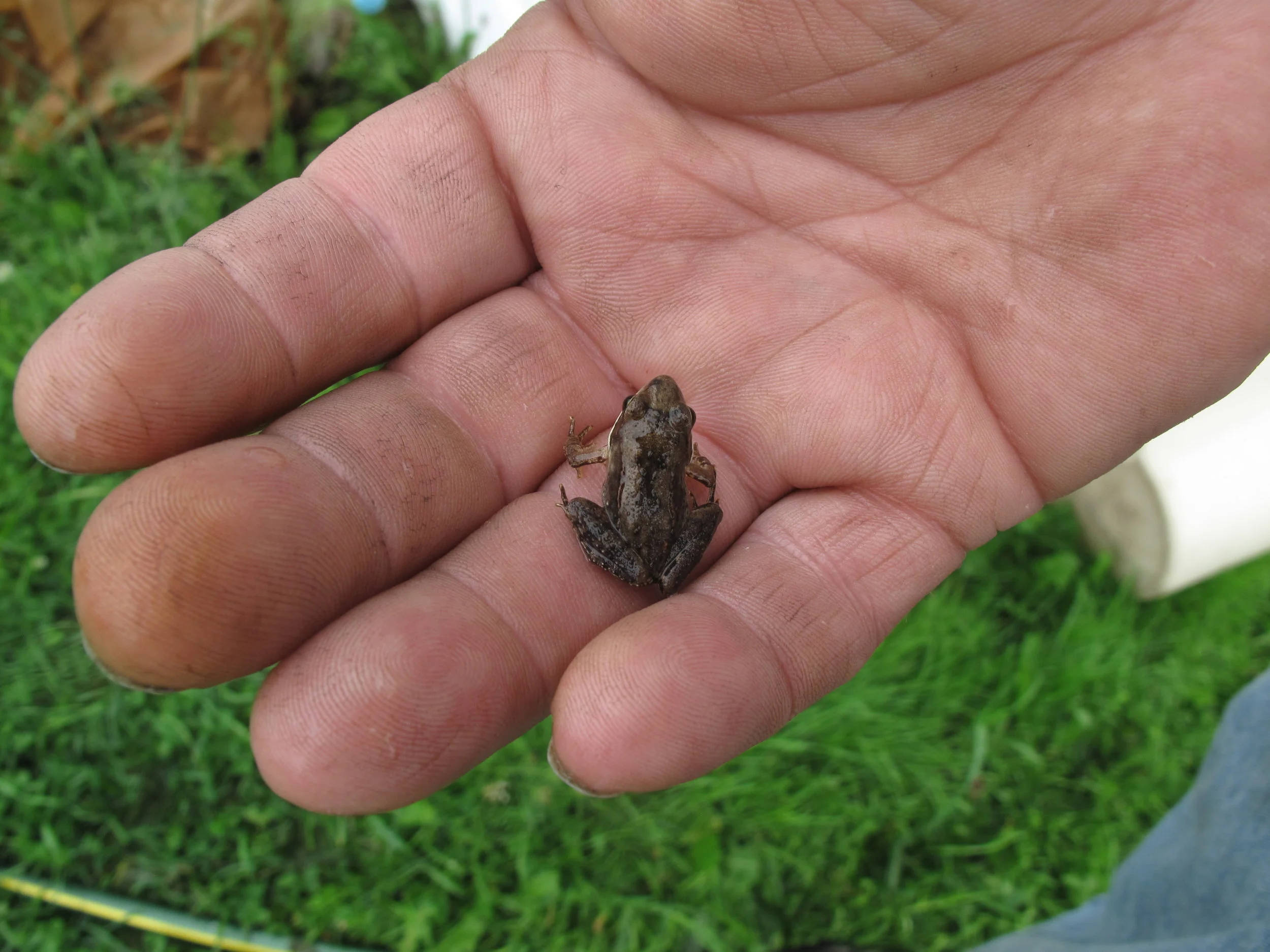 CB Aug 1 weekend 2011 Shirley and others 200.JPG