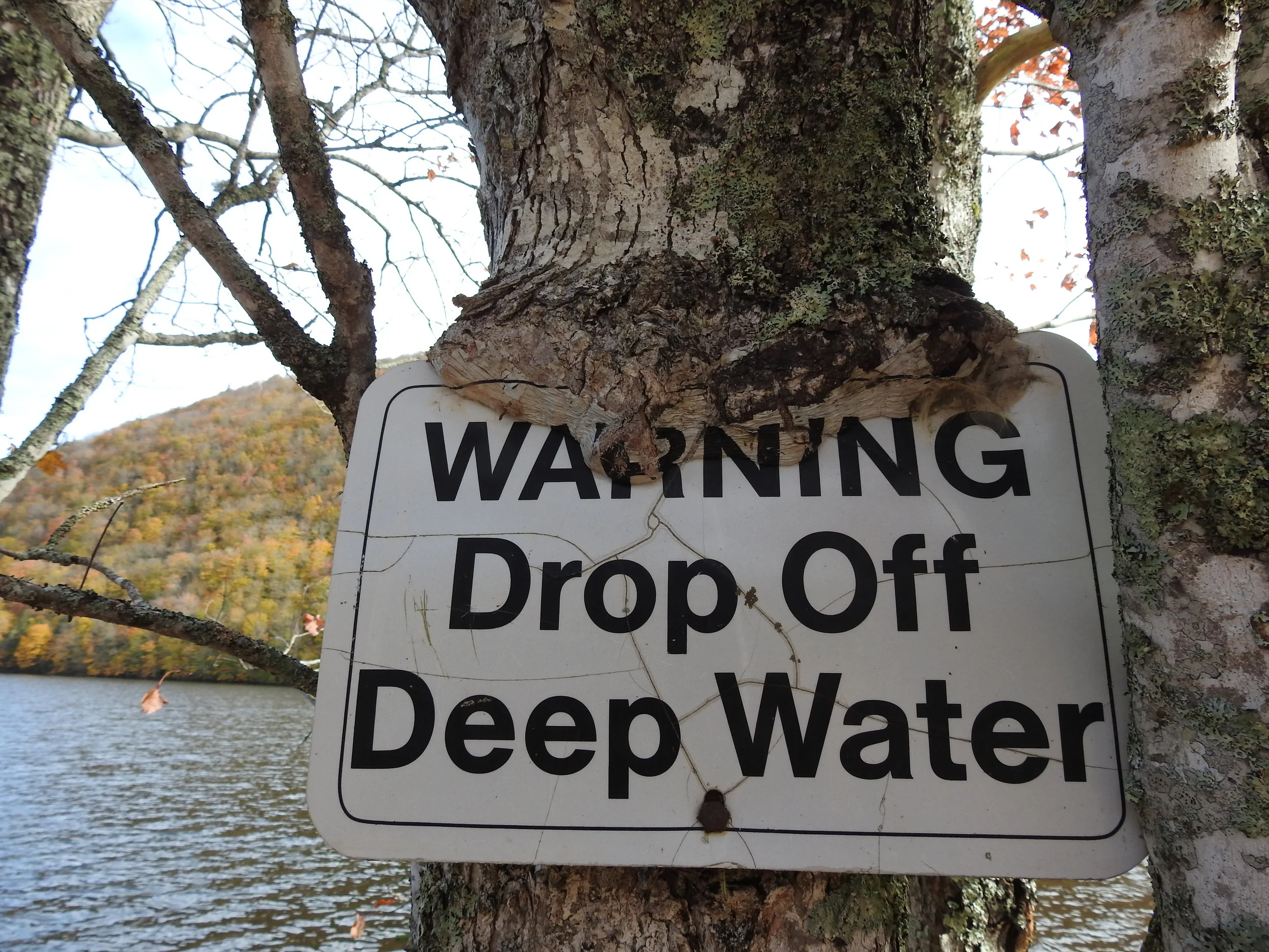 Lake O'Laws