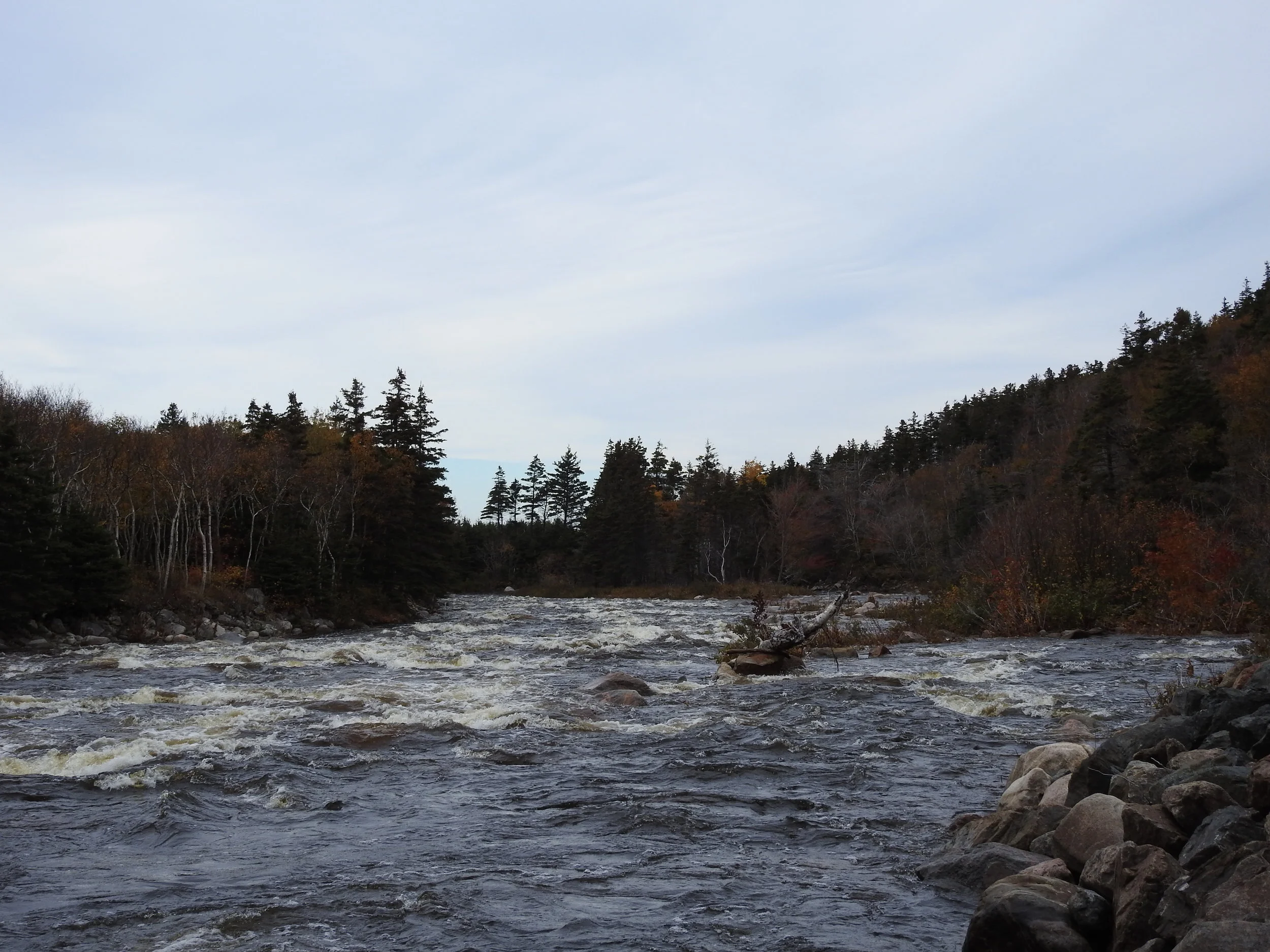 MacKenzie River