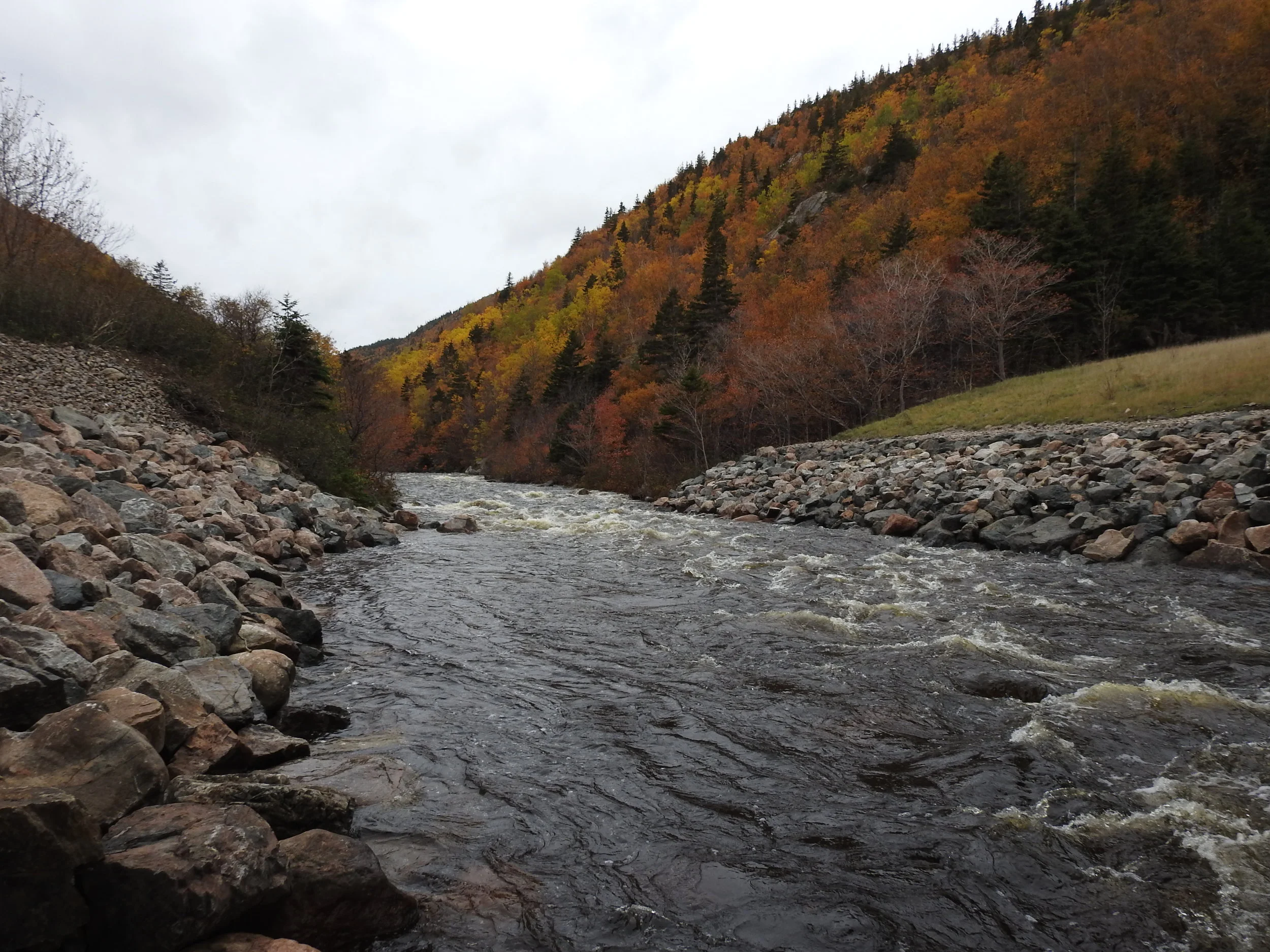 MacKenzie River